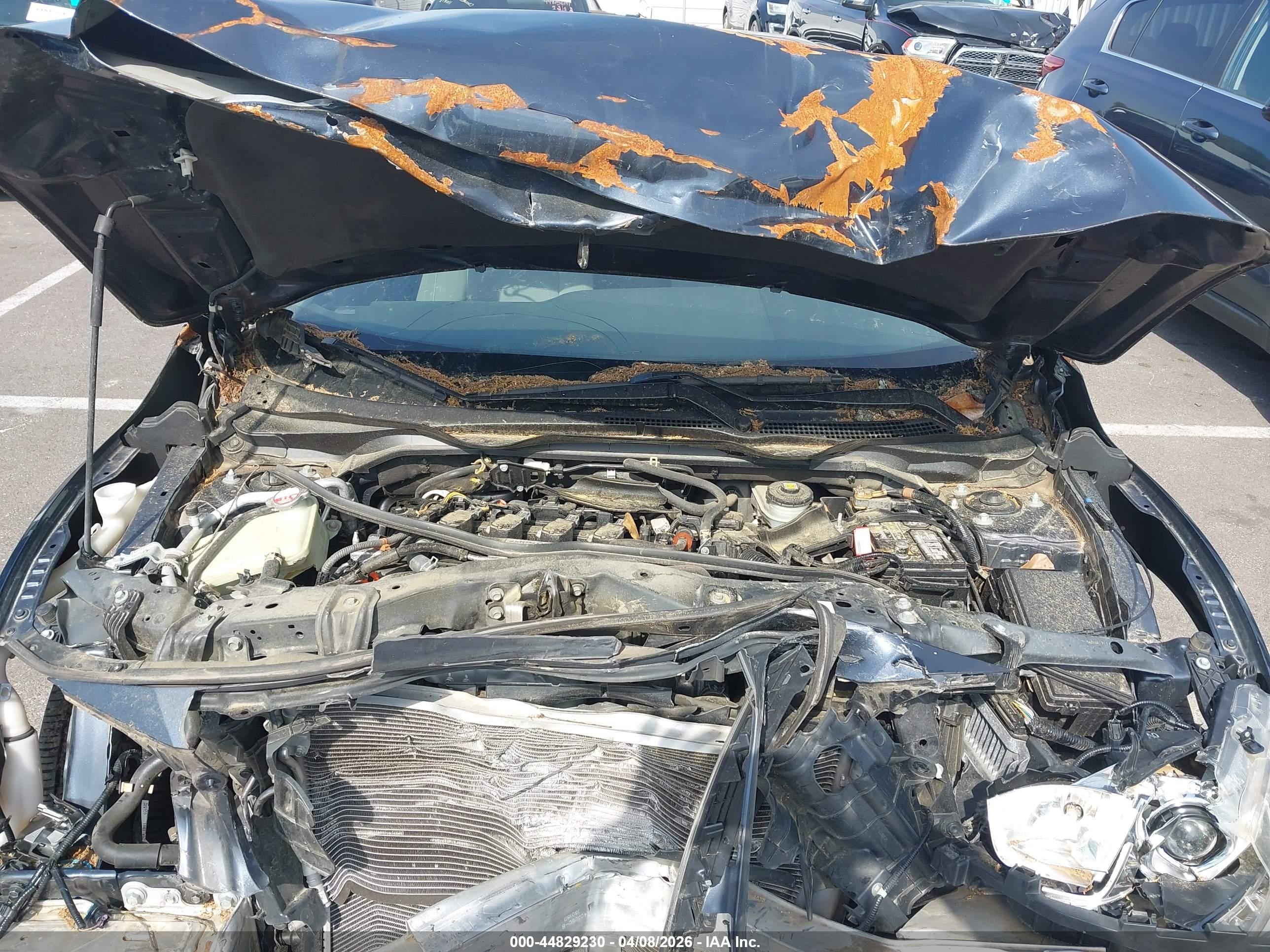 HONDA CIVIC image 10
