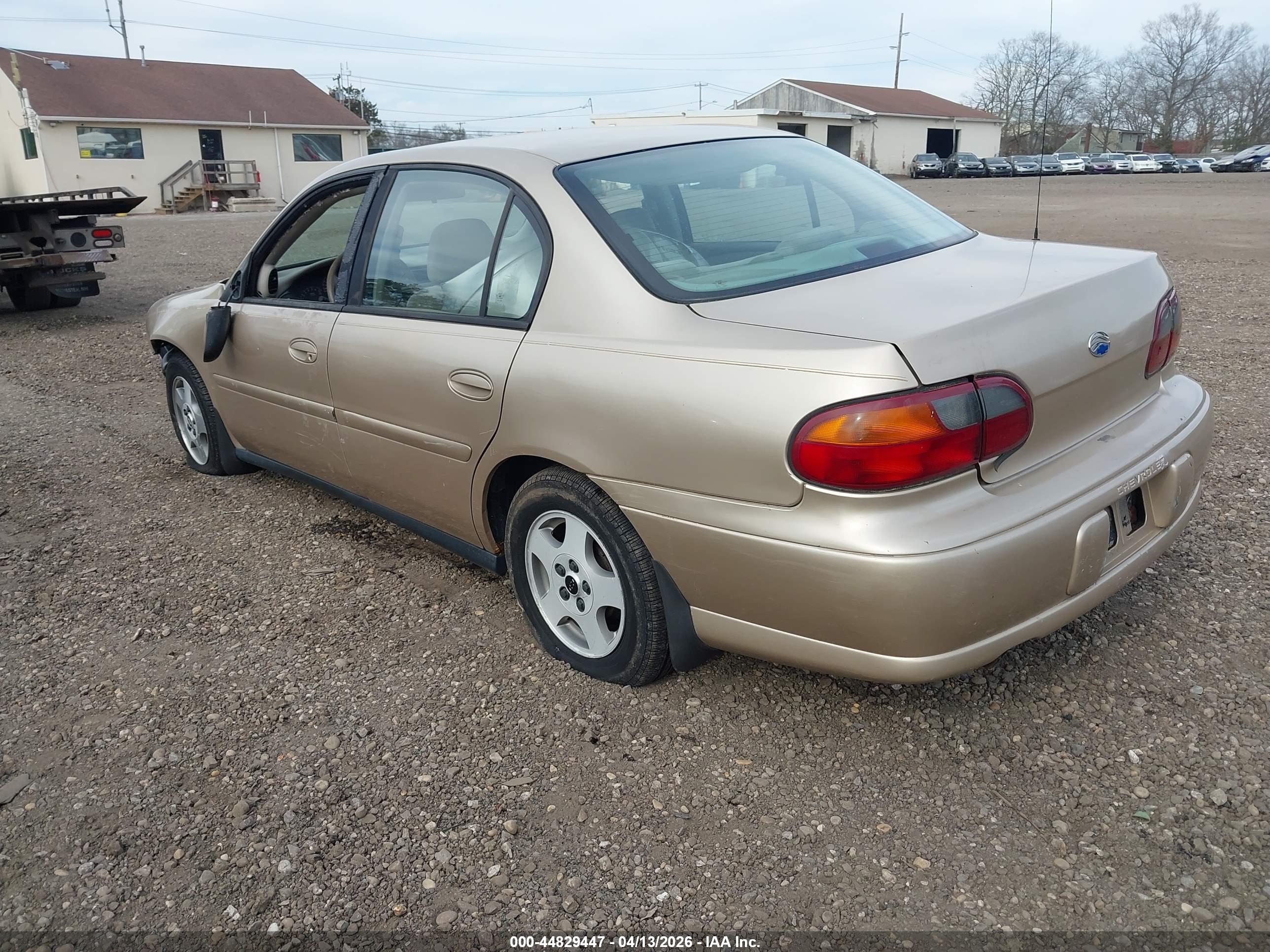 CHEVROLET MALIBU image 3