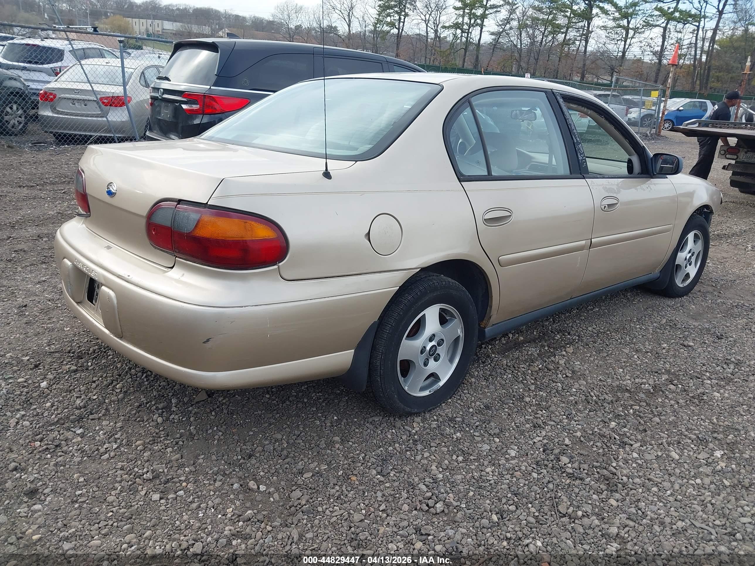 CHEVROLET MALIBU image 4
