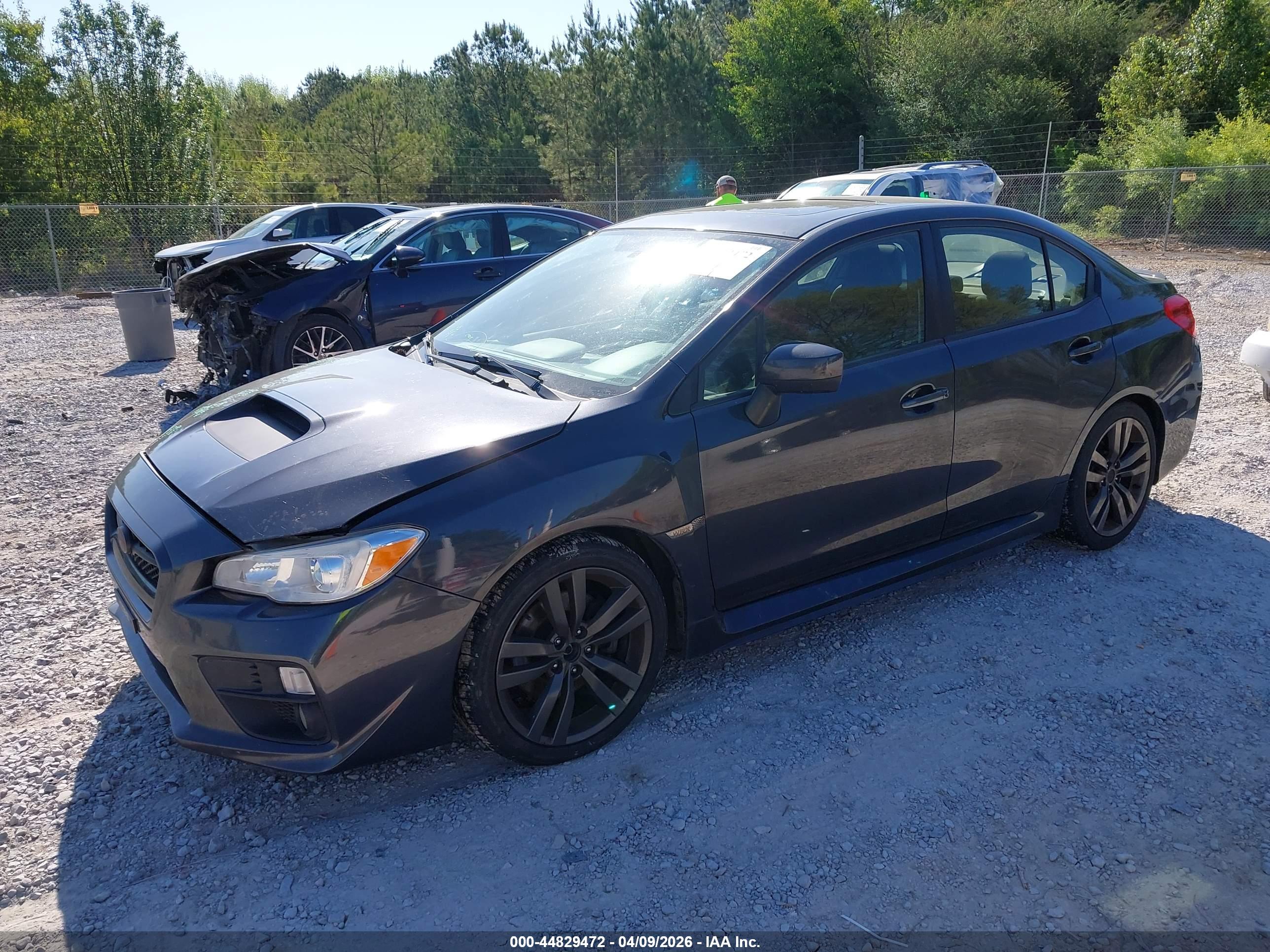 SUBARU WRX image 2