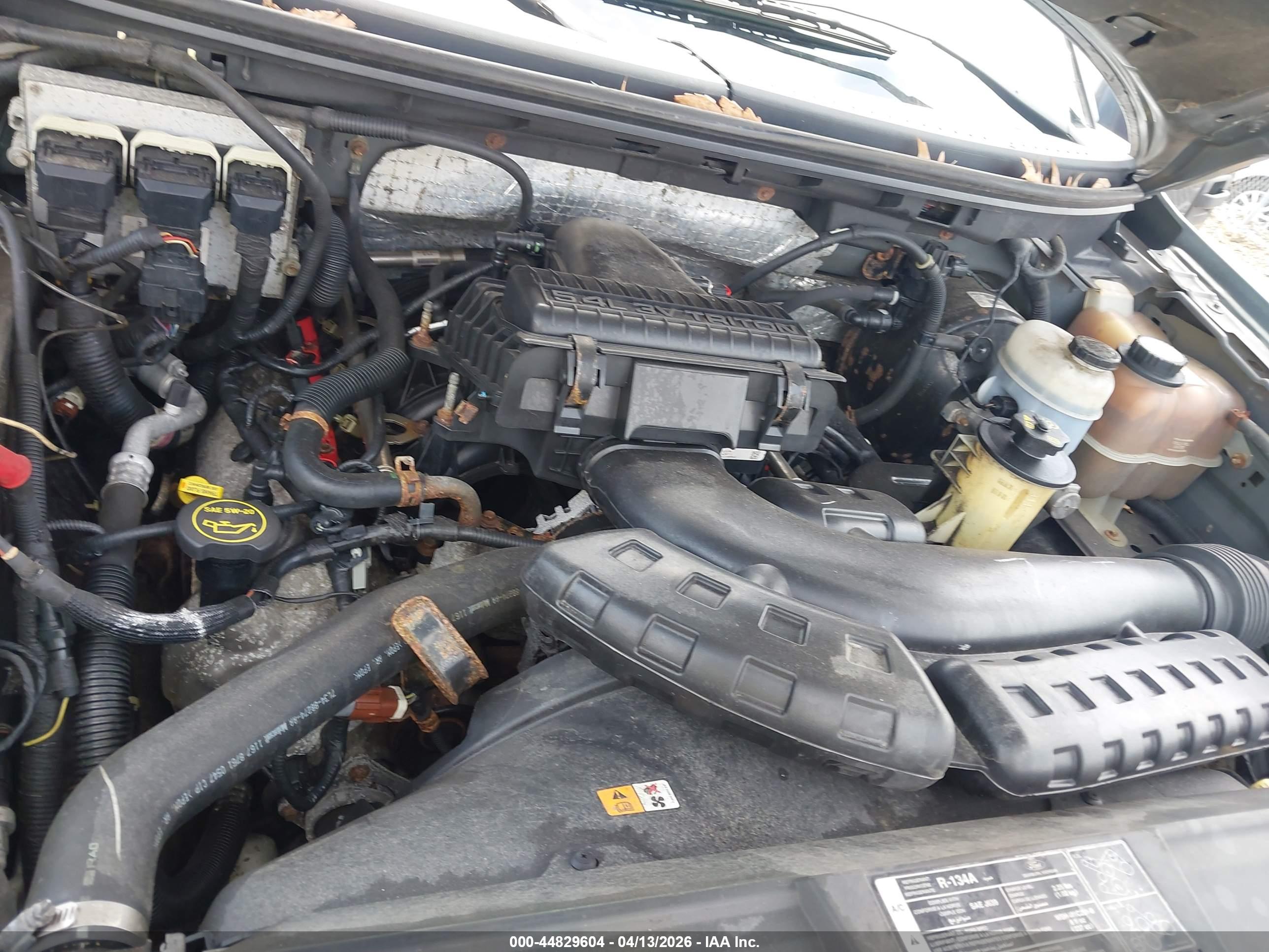 FORD F-150 image 10