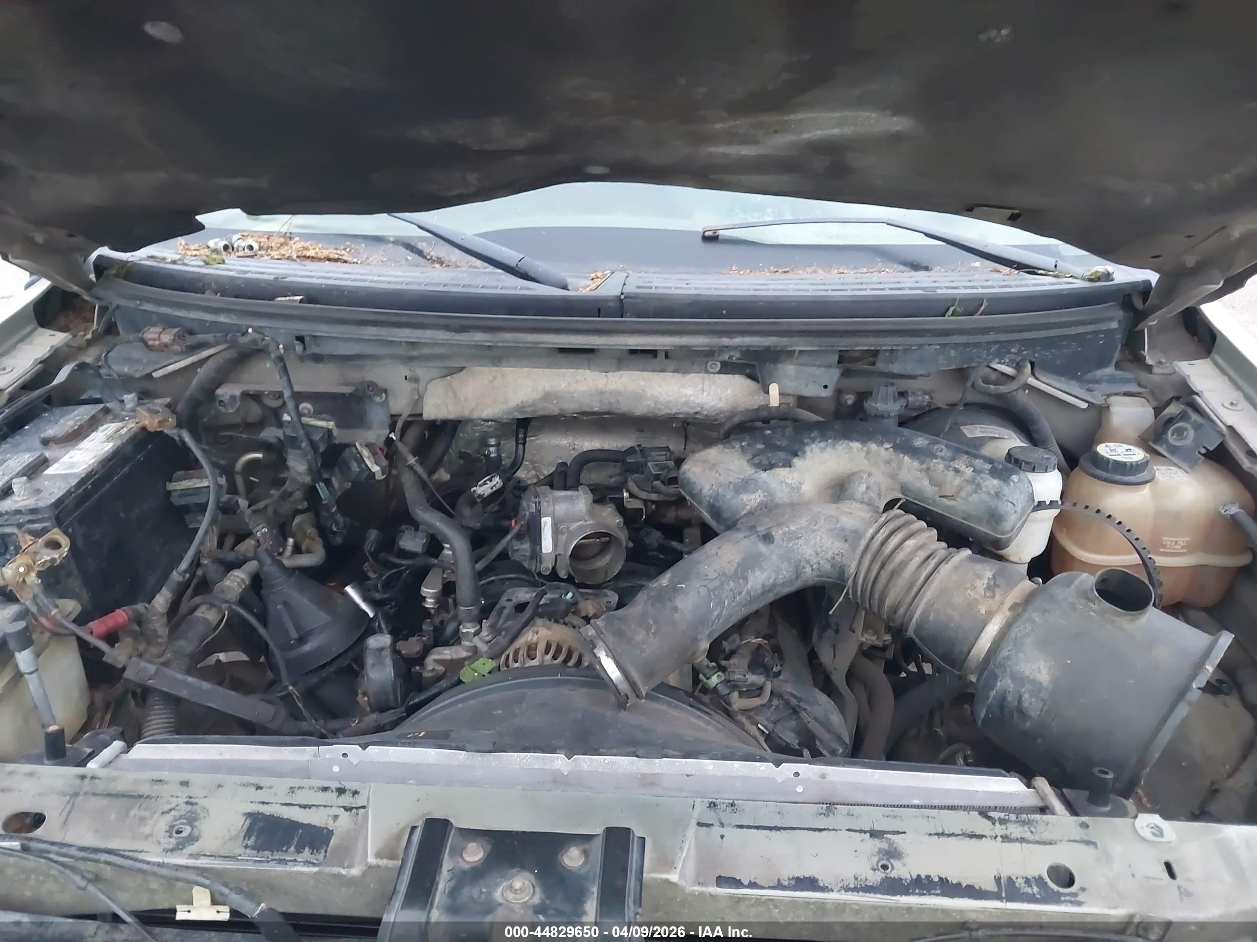 FORD F-150 image 10