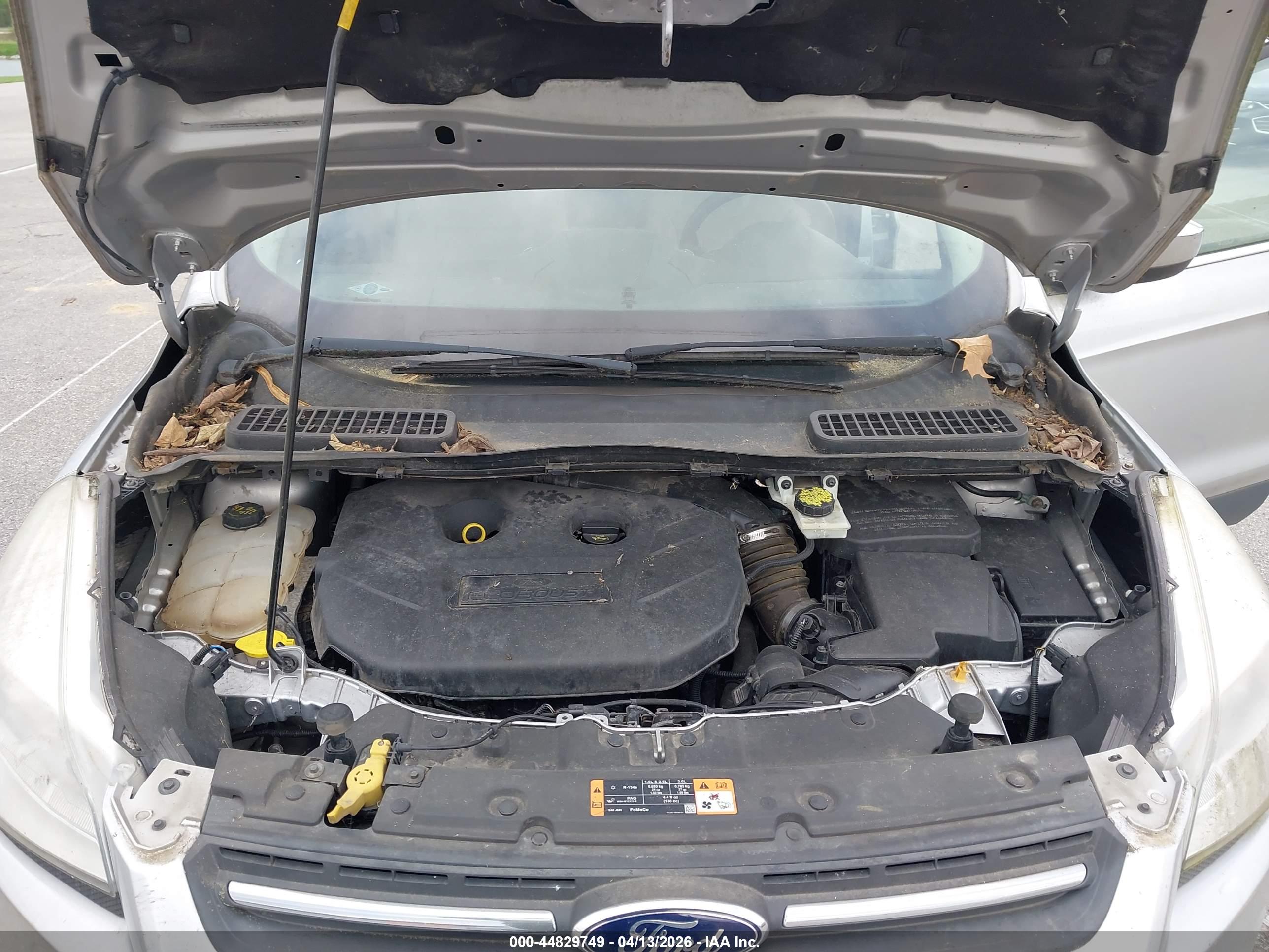 FORD ESCAPE image 10