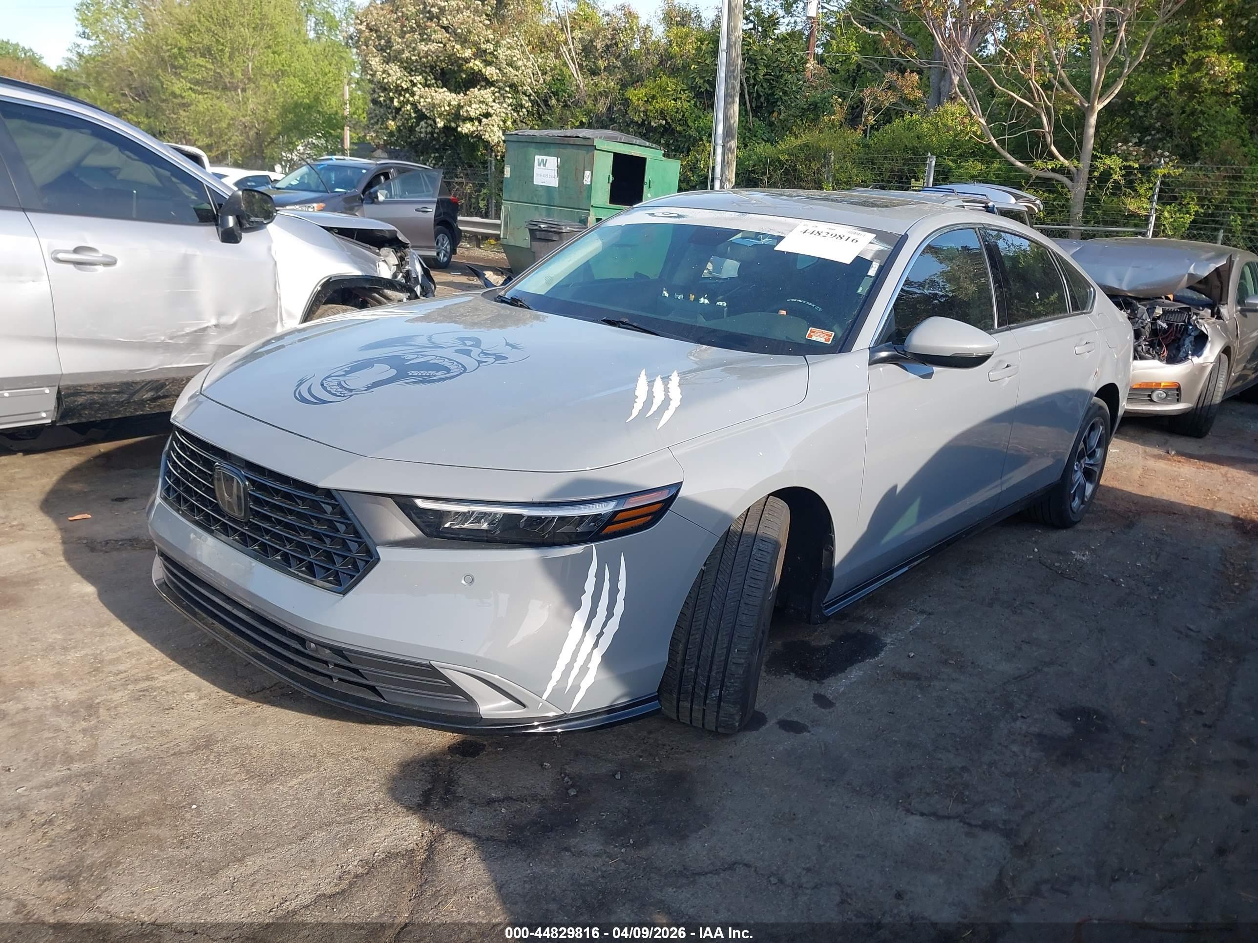 HONDA ACCORD image 2