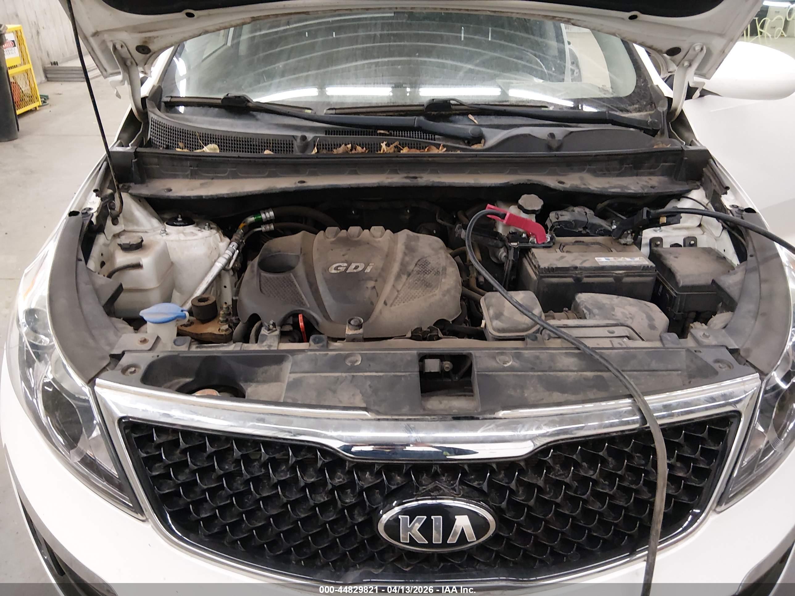 KIA SPORTAGE image 10