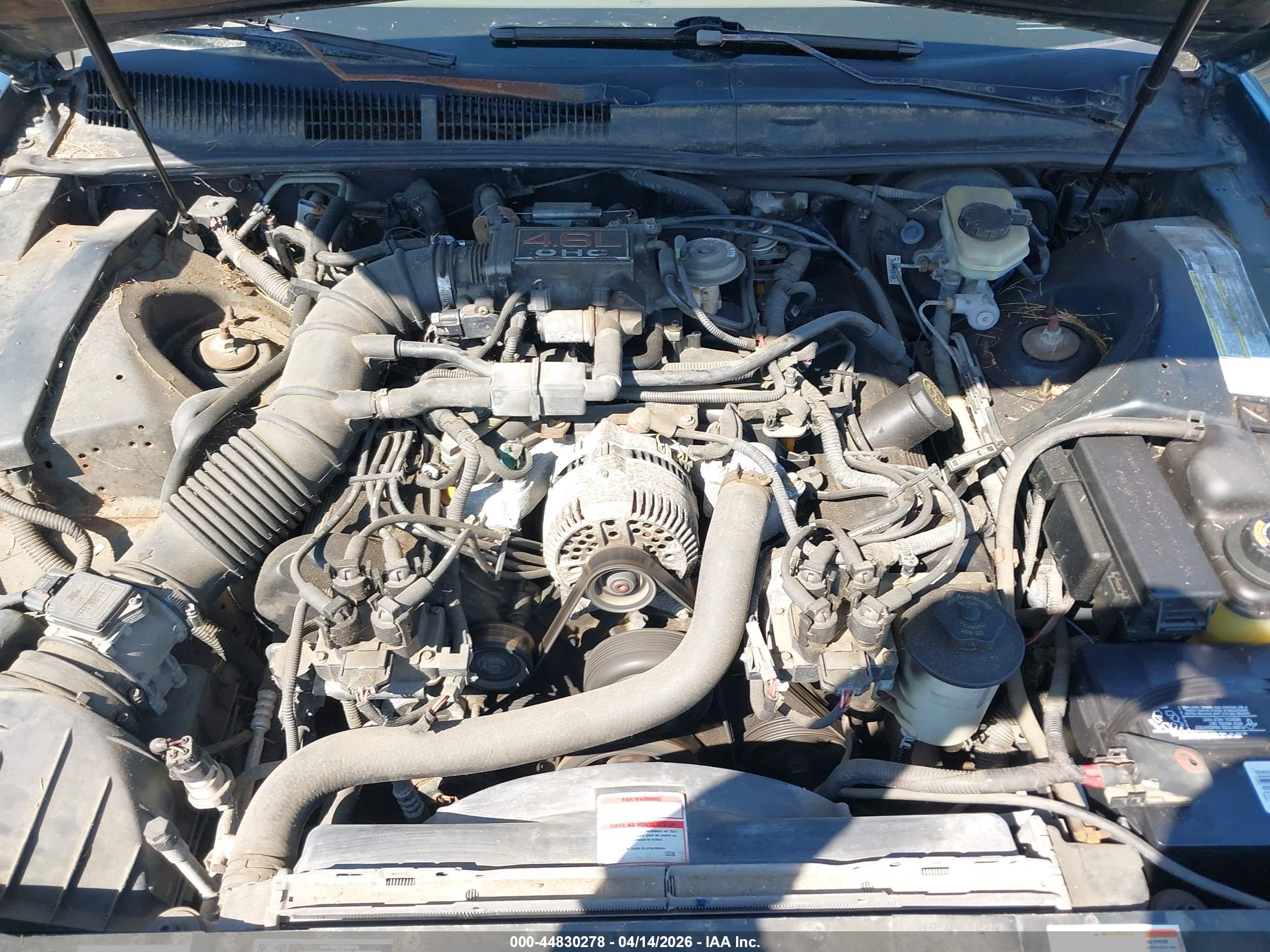 FORD THUNDERBIRD image 10