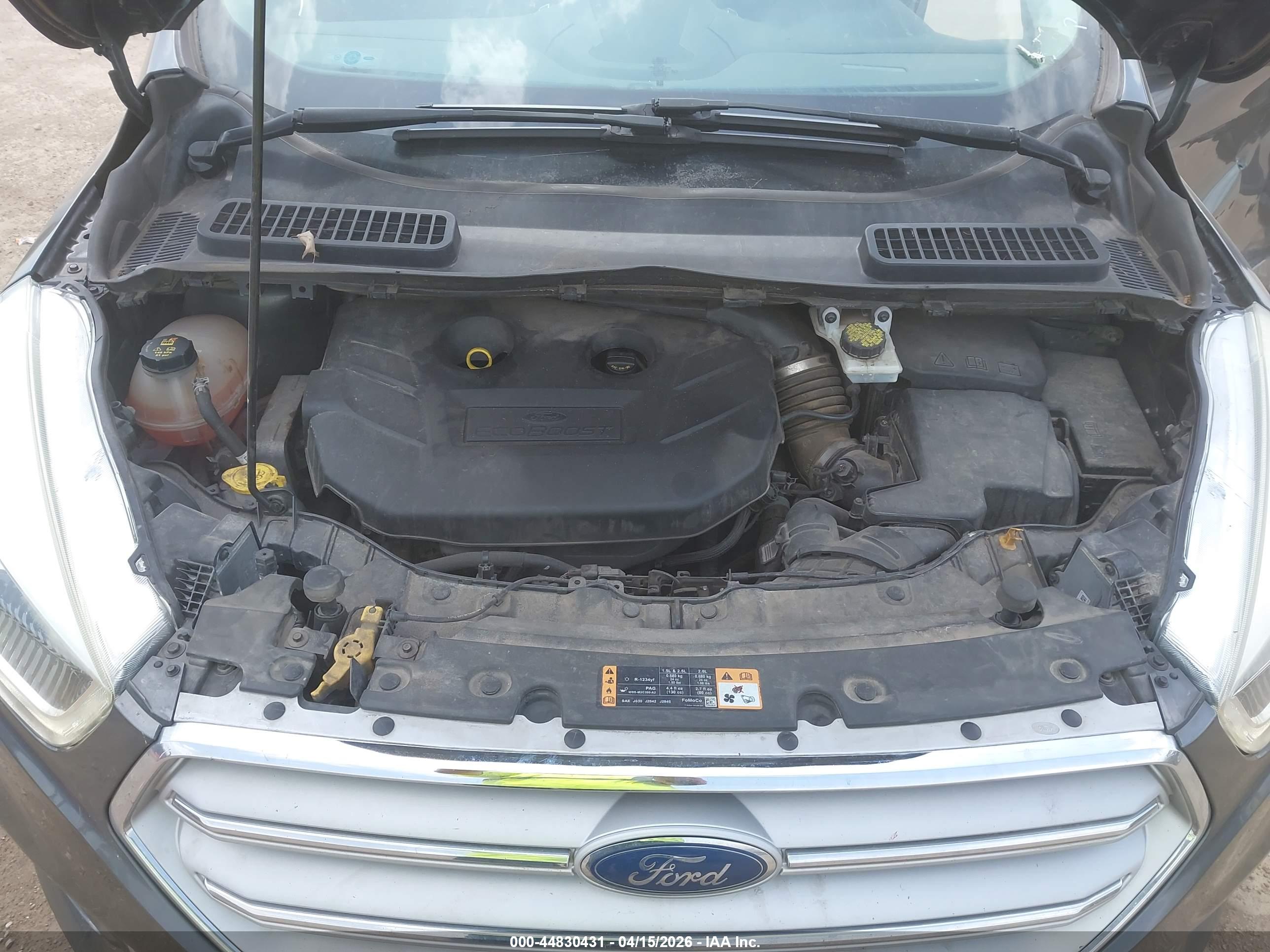 FORD ESCAPE image 10