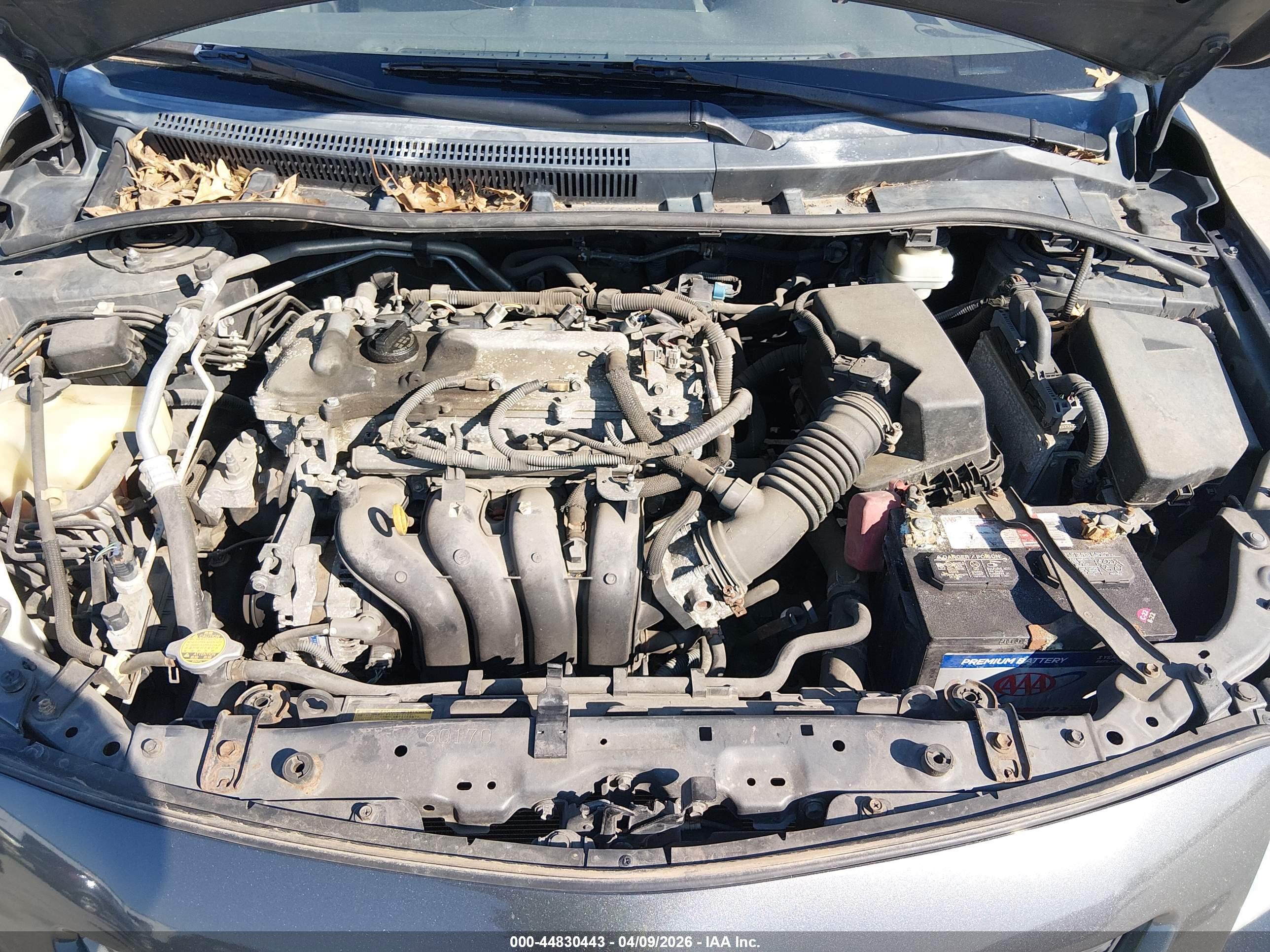 TOYOTA COROLLA image 10