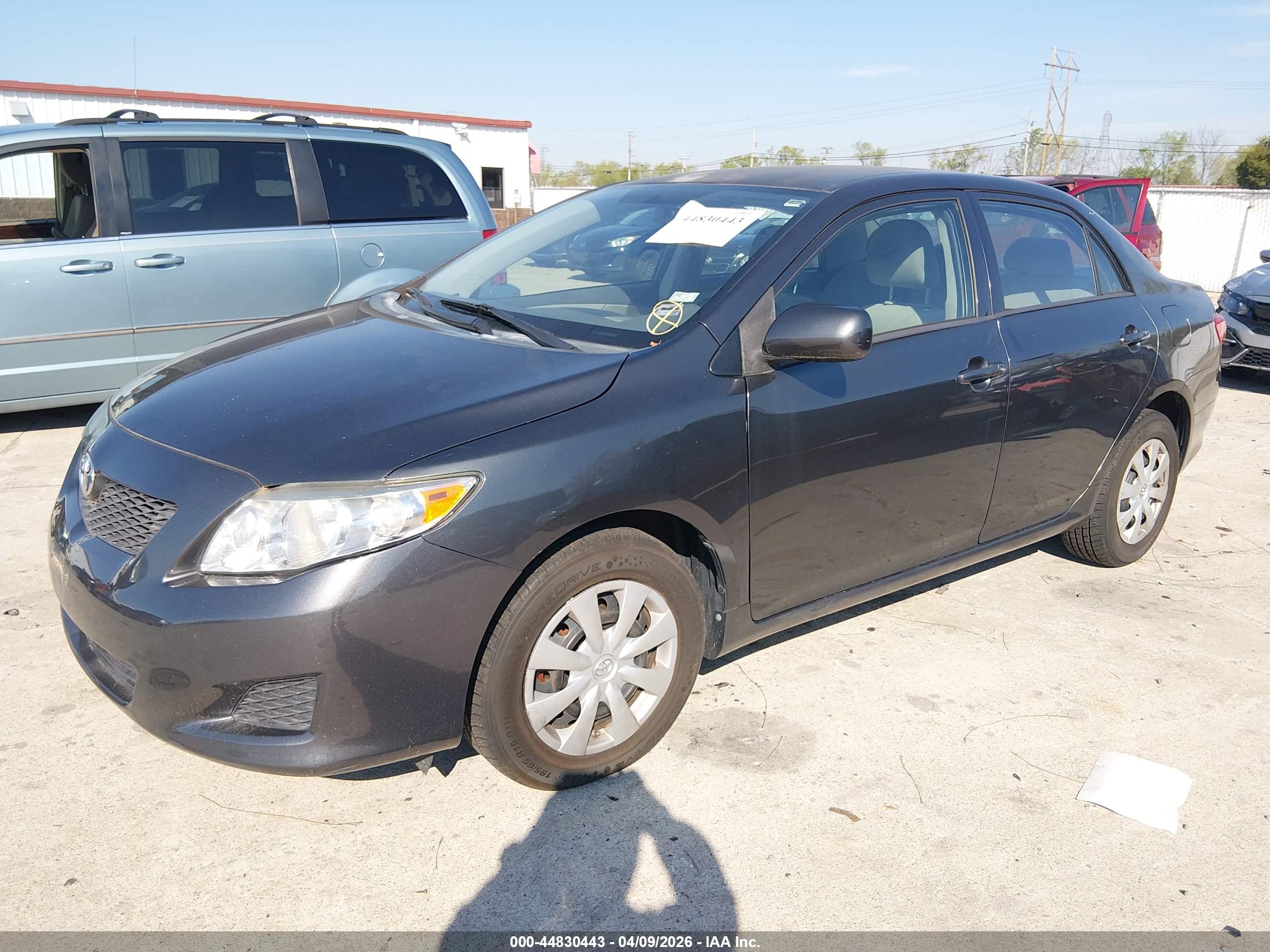 TOYOTA COROLLA image 2