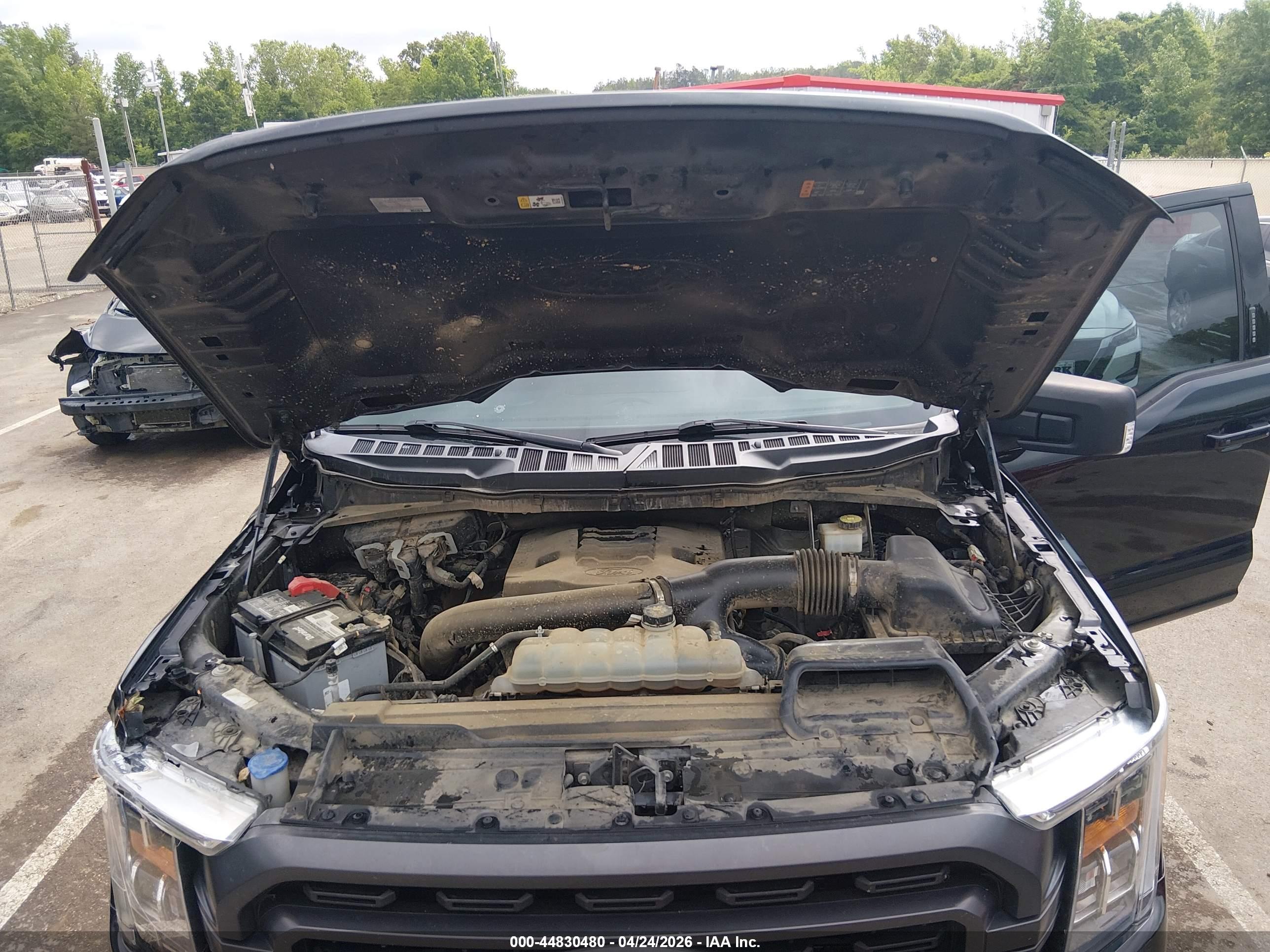 FORD F-150 image 10