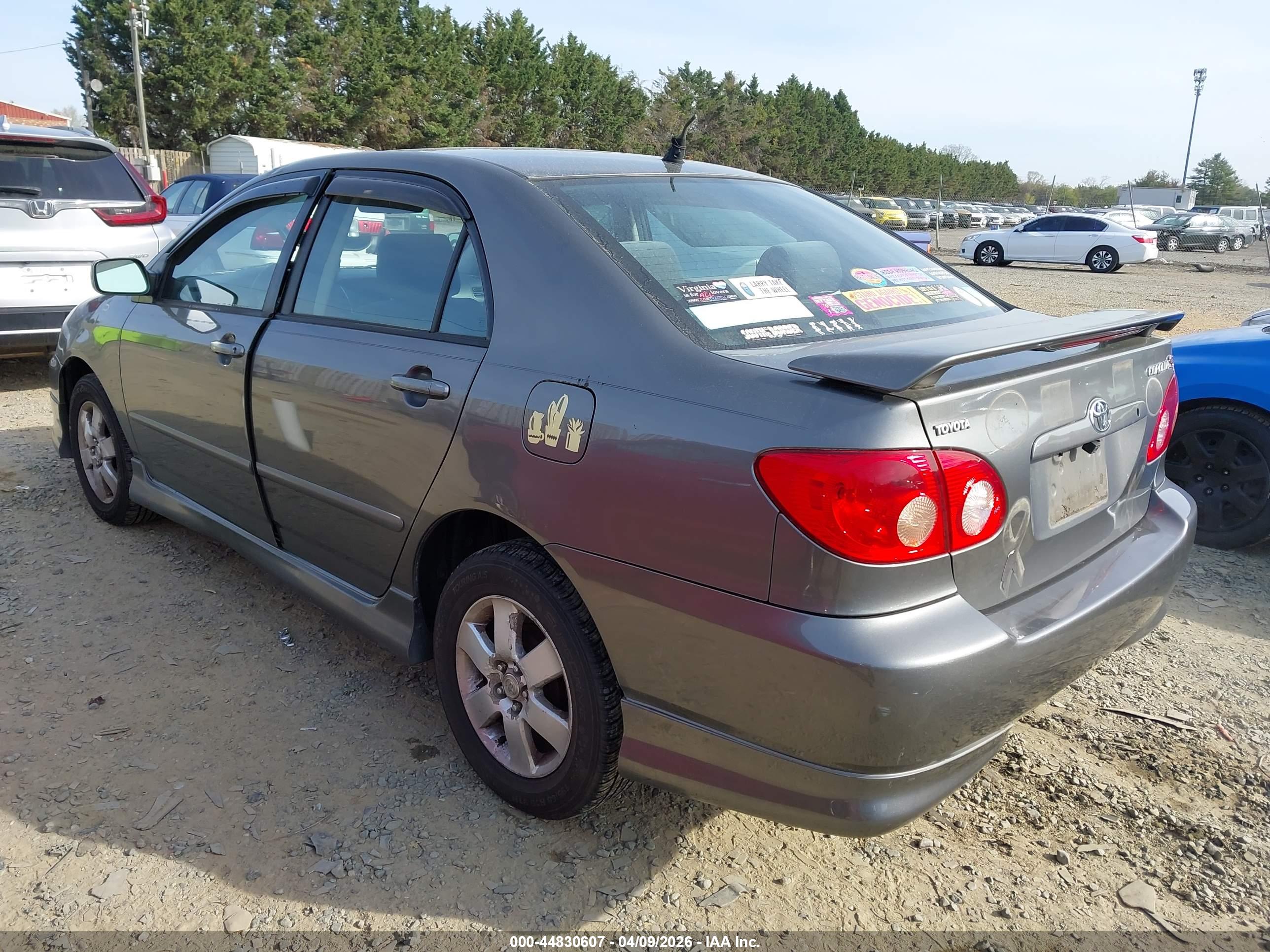 TOYOTA COROLLA image 3