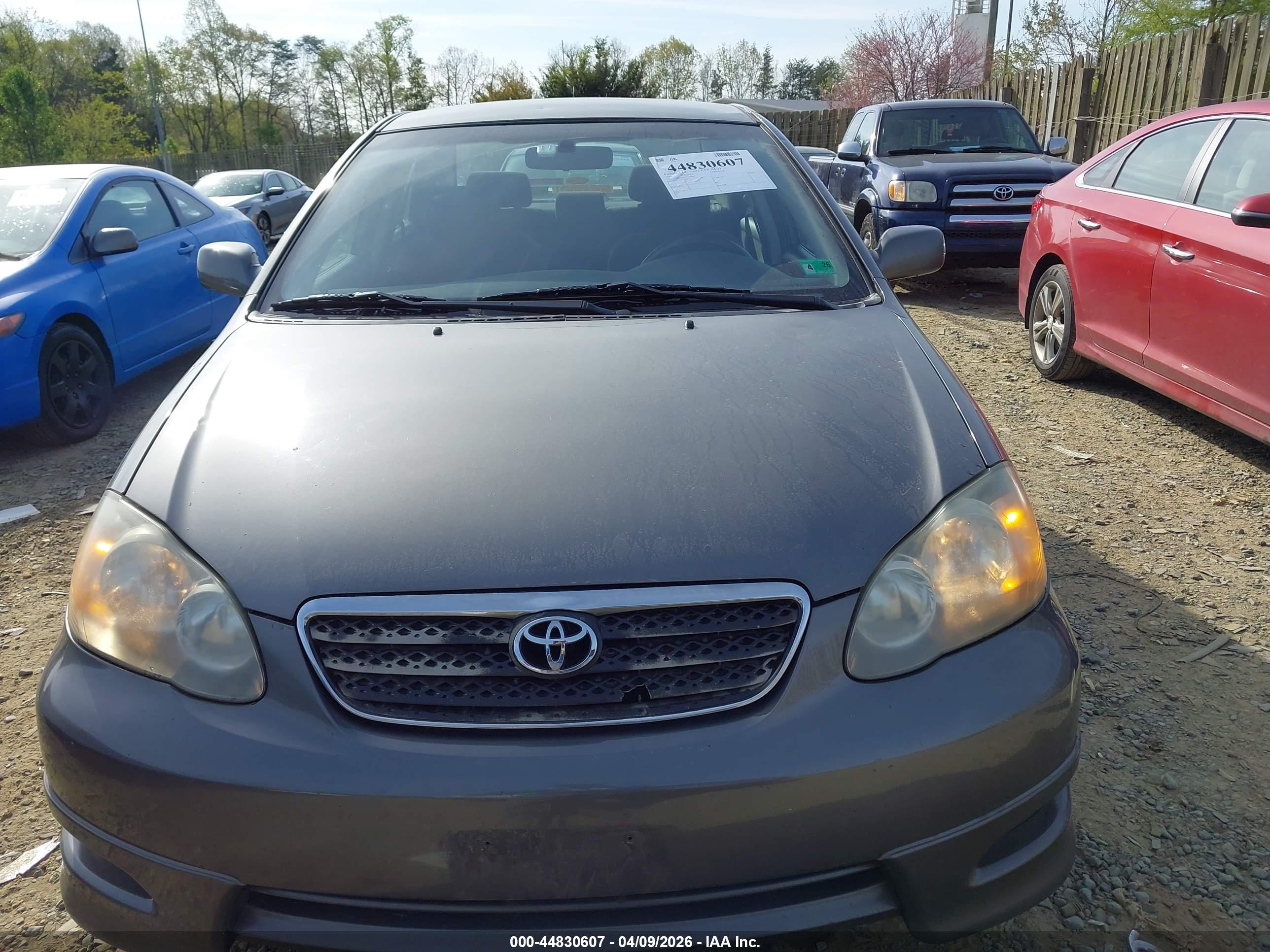 TOYOTA COROLLA image 6