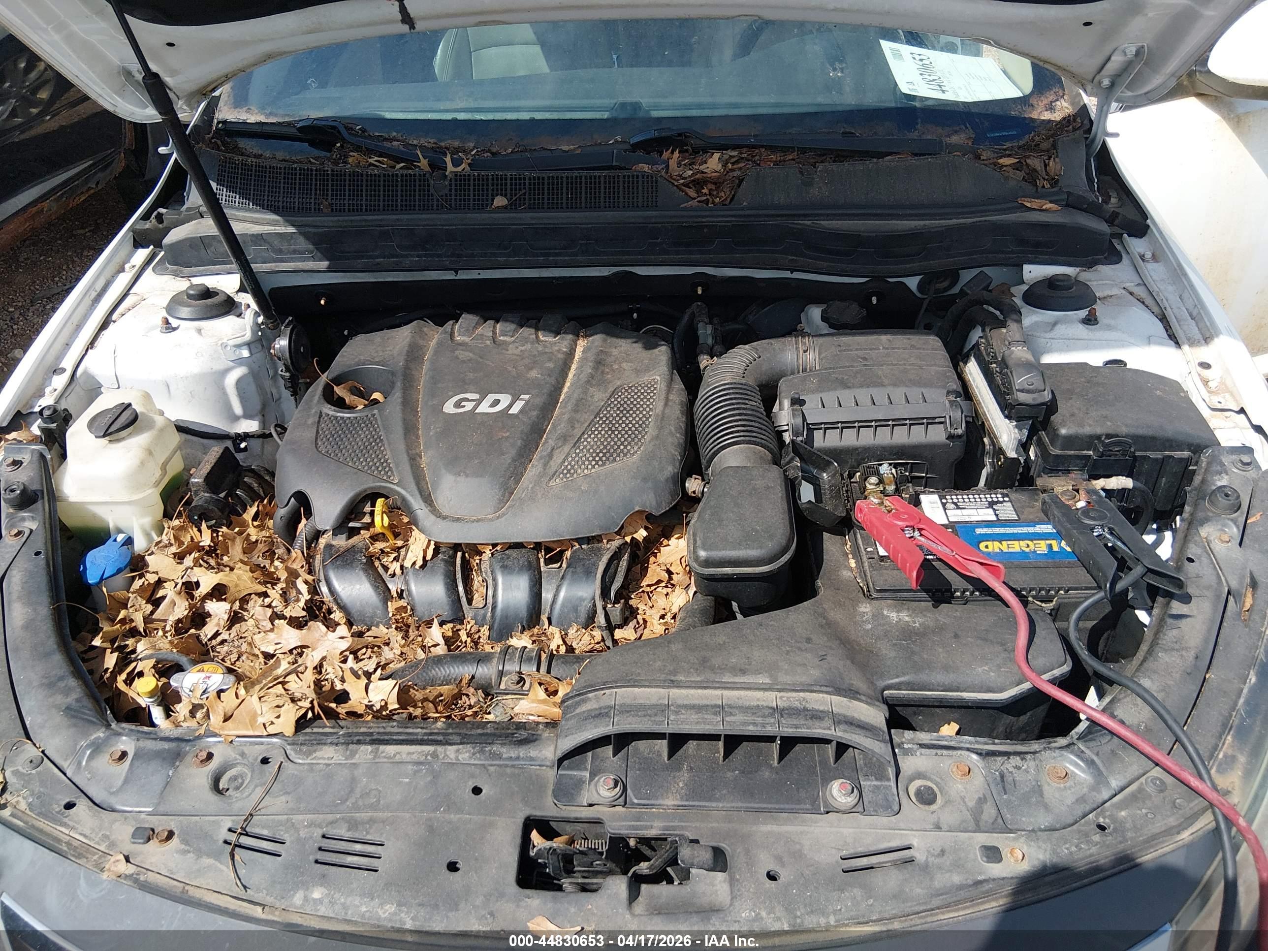 KIA OPTIMA image 10