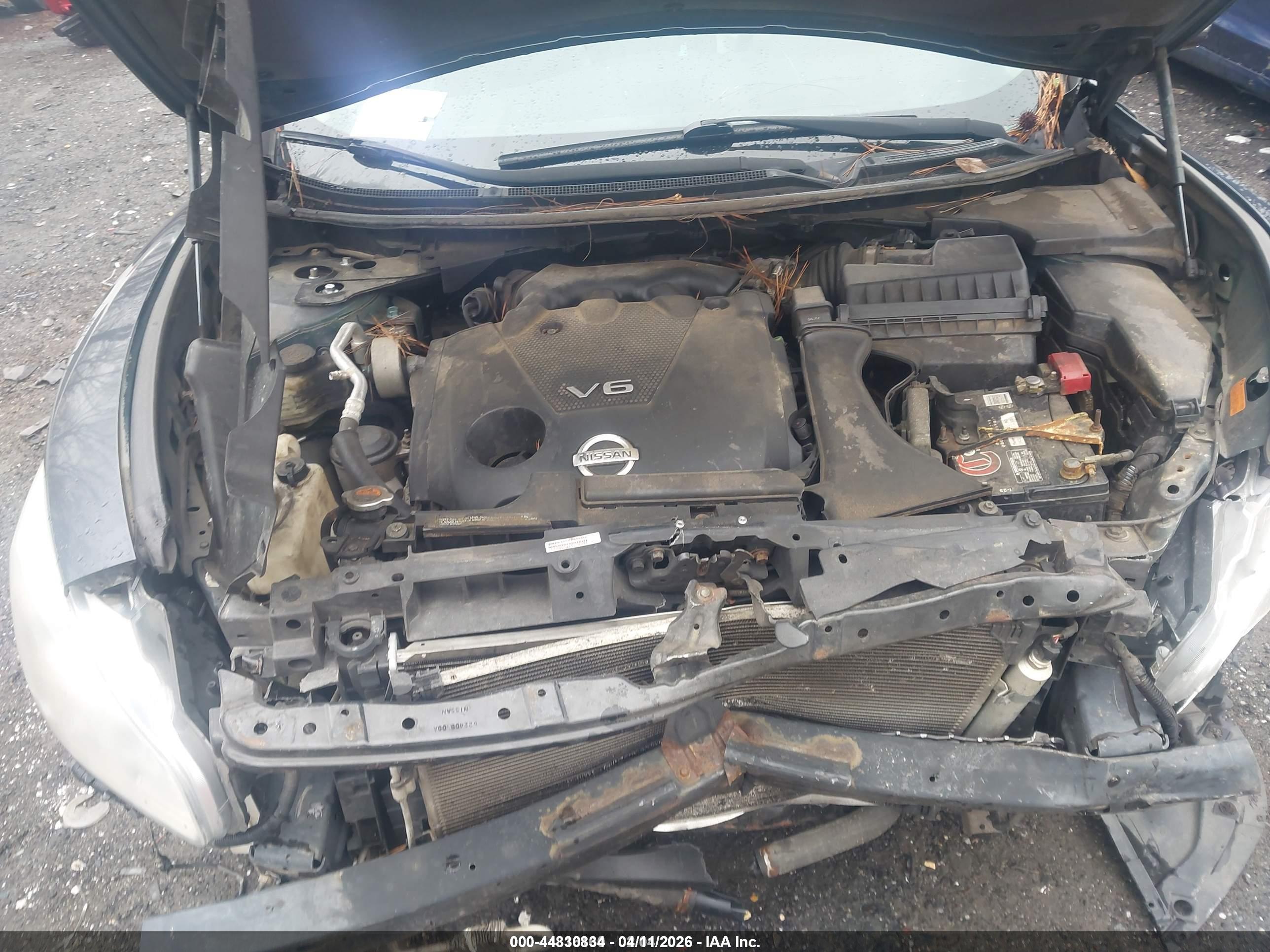 NISSAN MAXIMA image 10