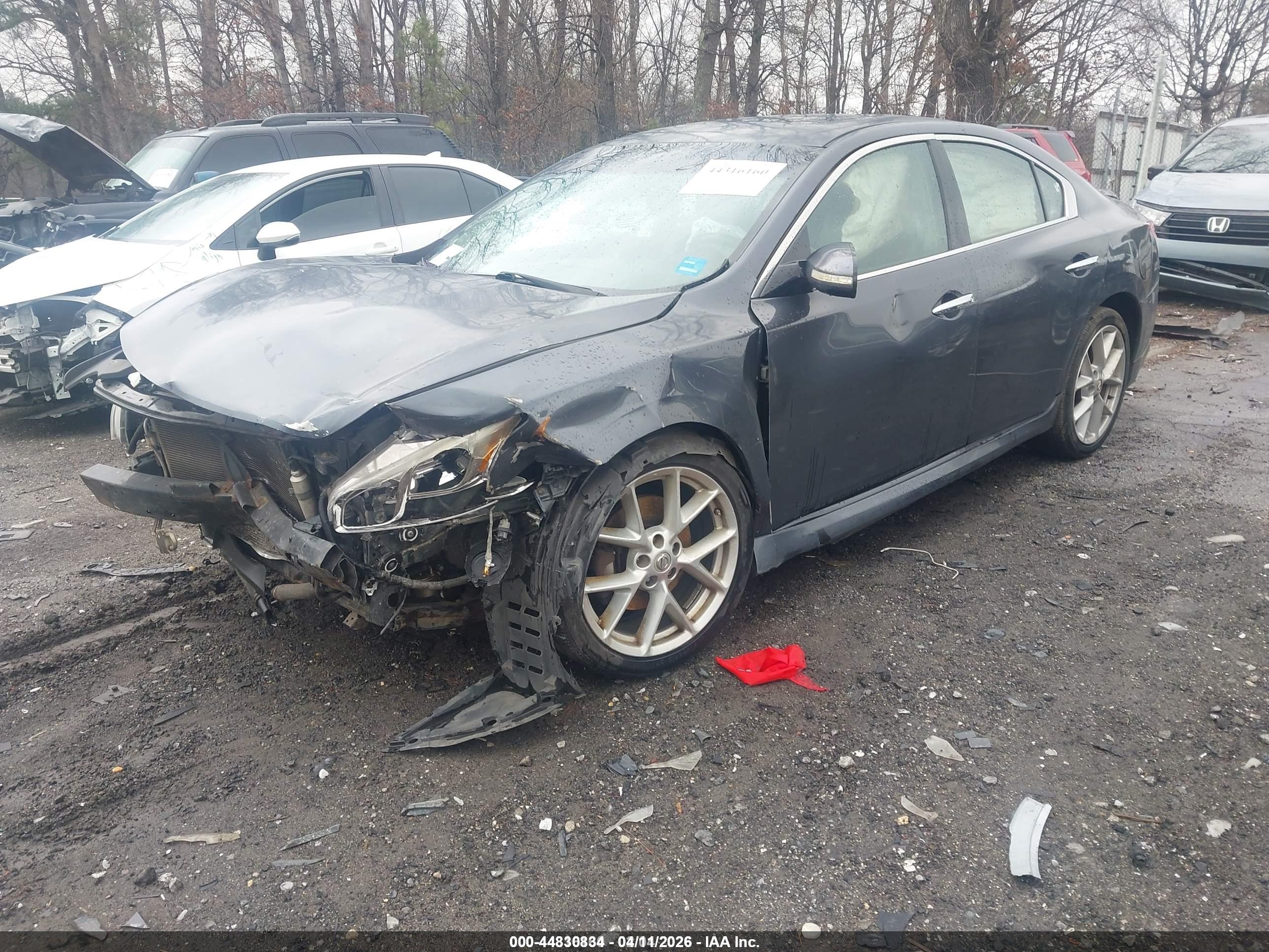 NISSAN MAXIMA image 2