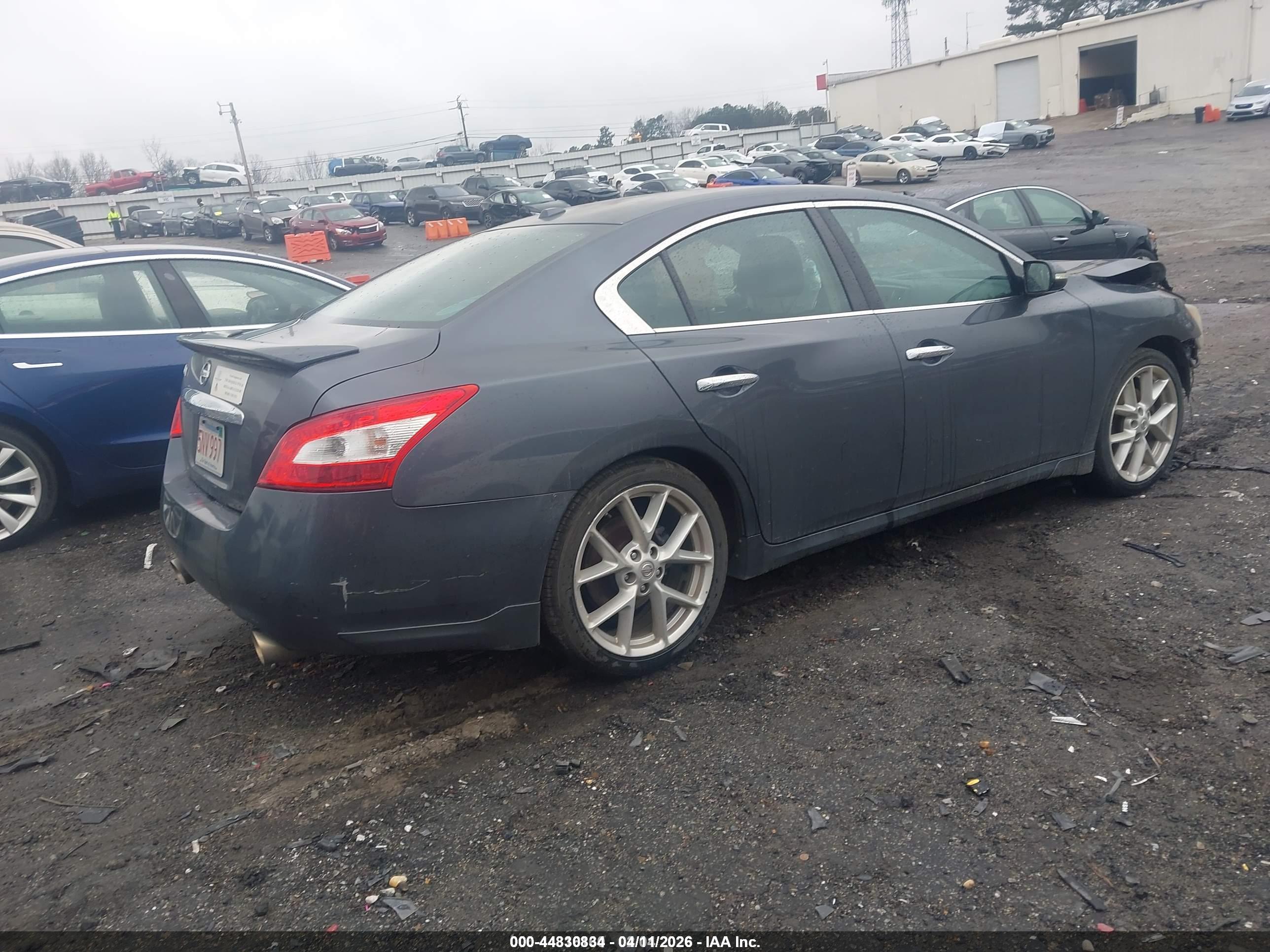 NISSAN MAXIMA image 4