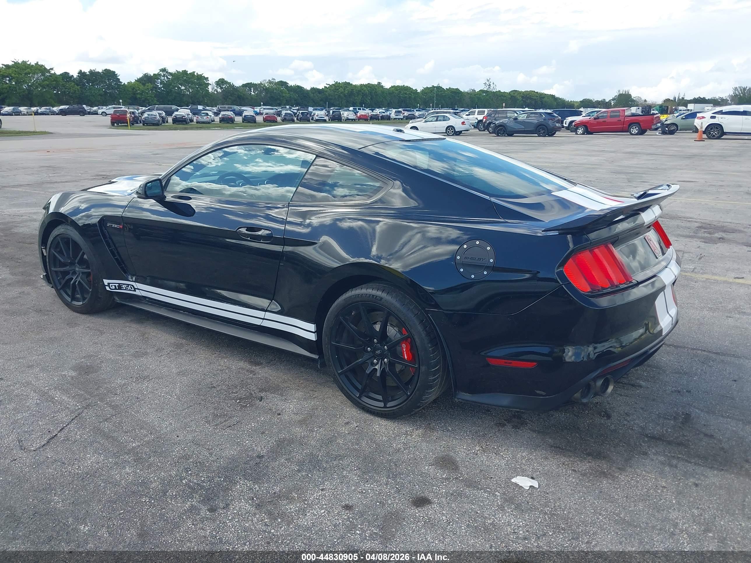 FORD SHELBY image 3