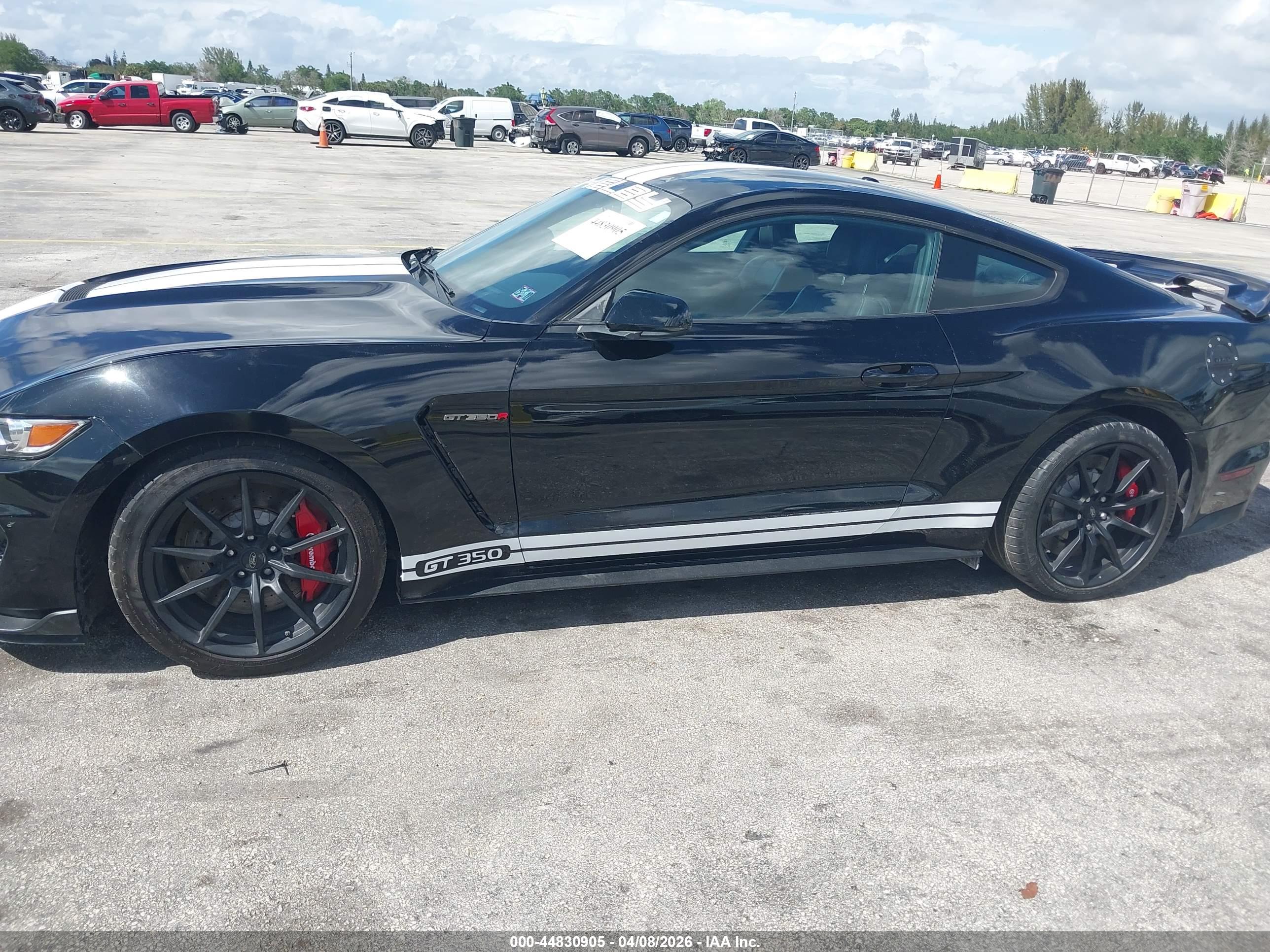 FORD SHELBY image 6