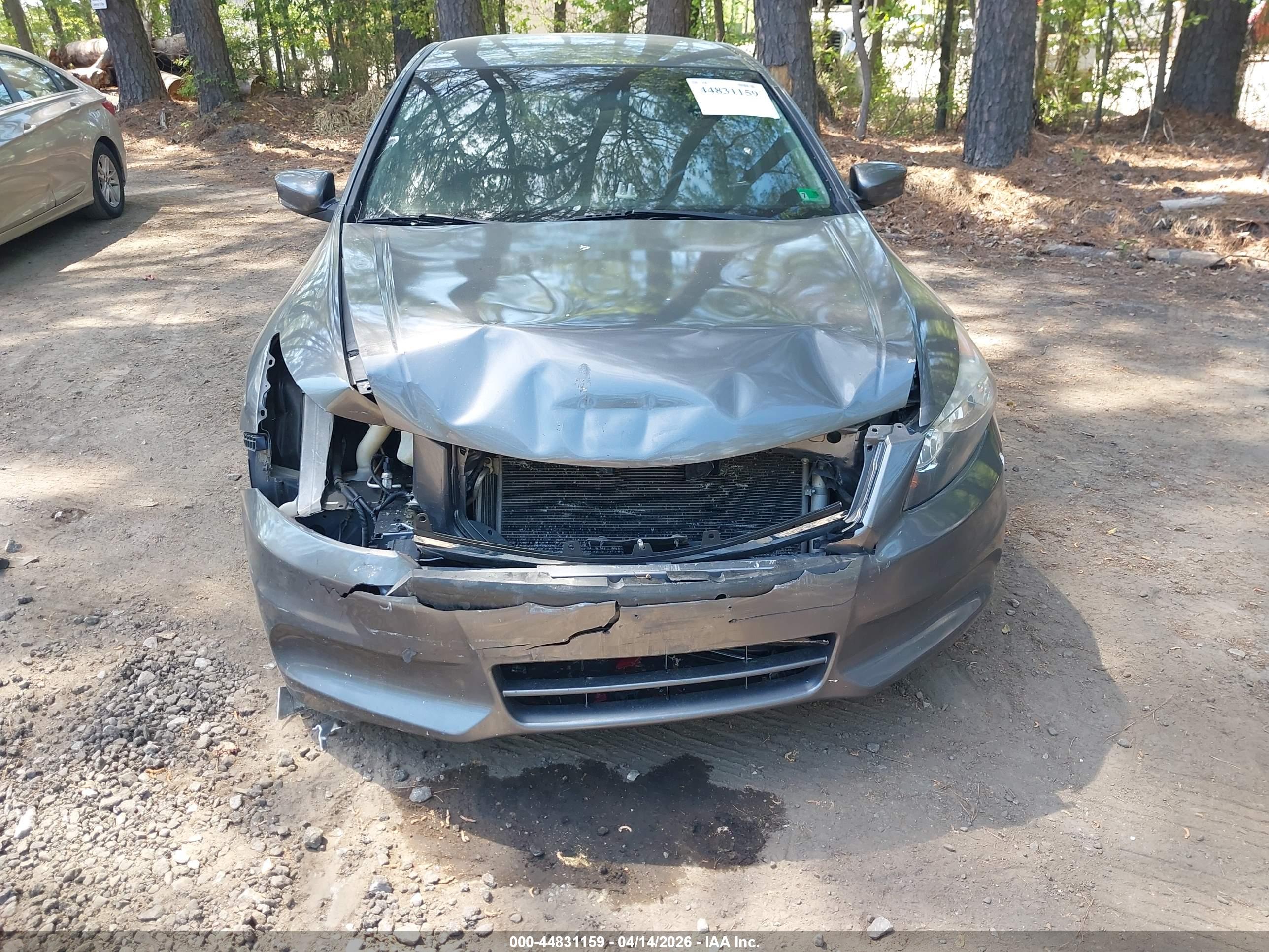 HONDA ACCORD image 6