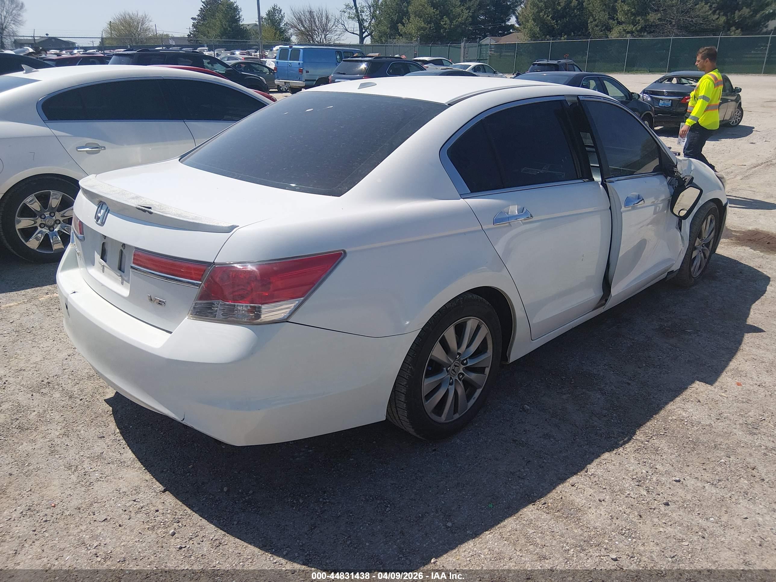 HONDA ACCORD image 4