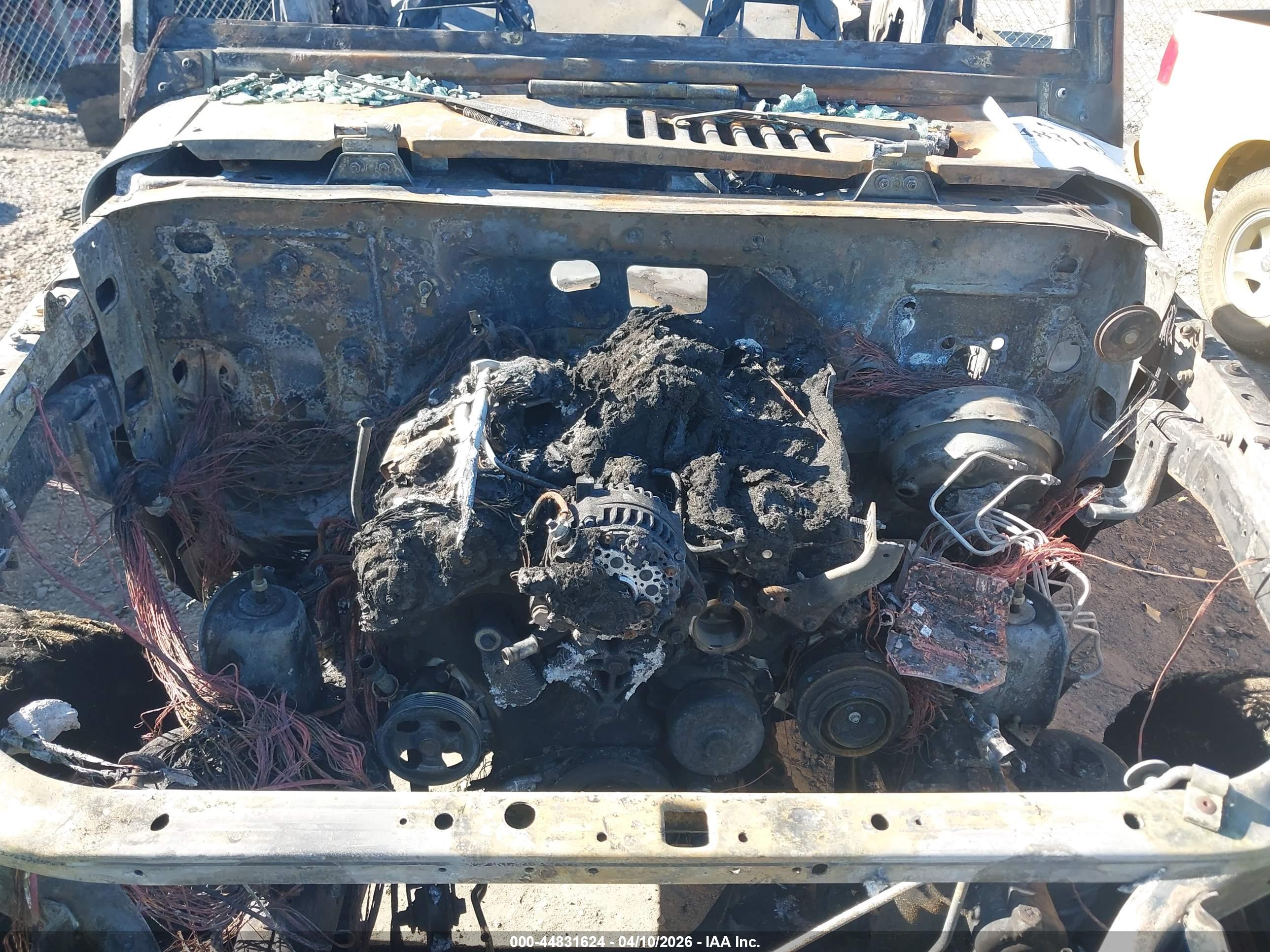 JEEP WRANGLER image 10