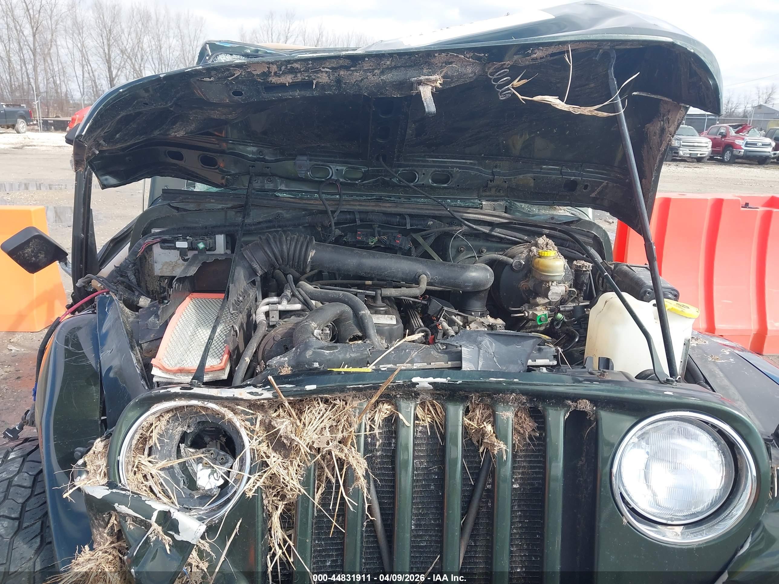 JEEP WRANGLER image 10