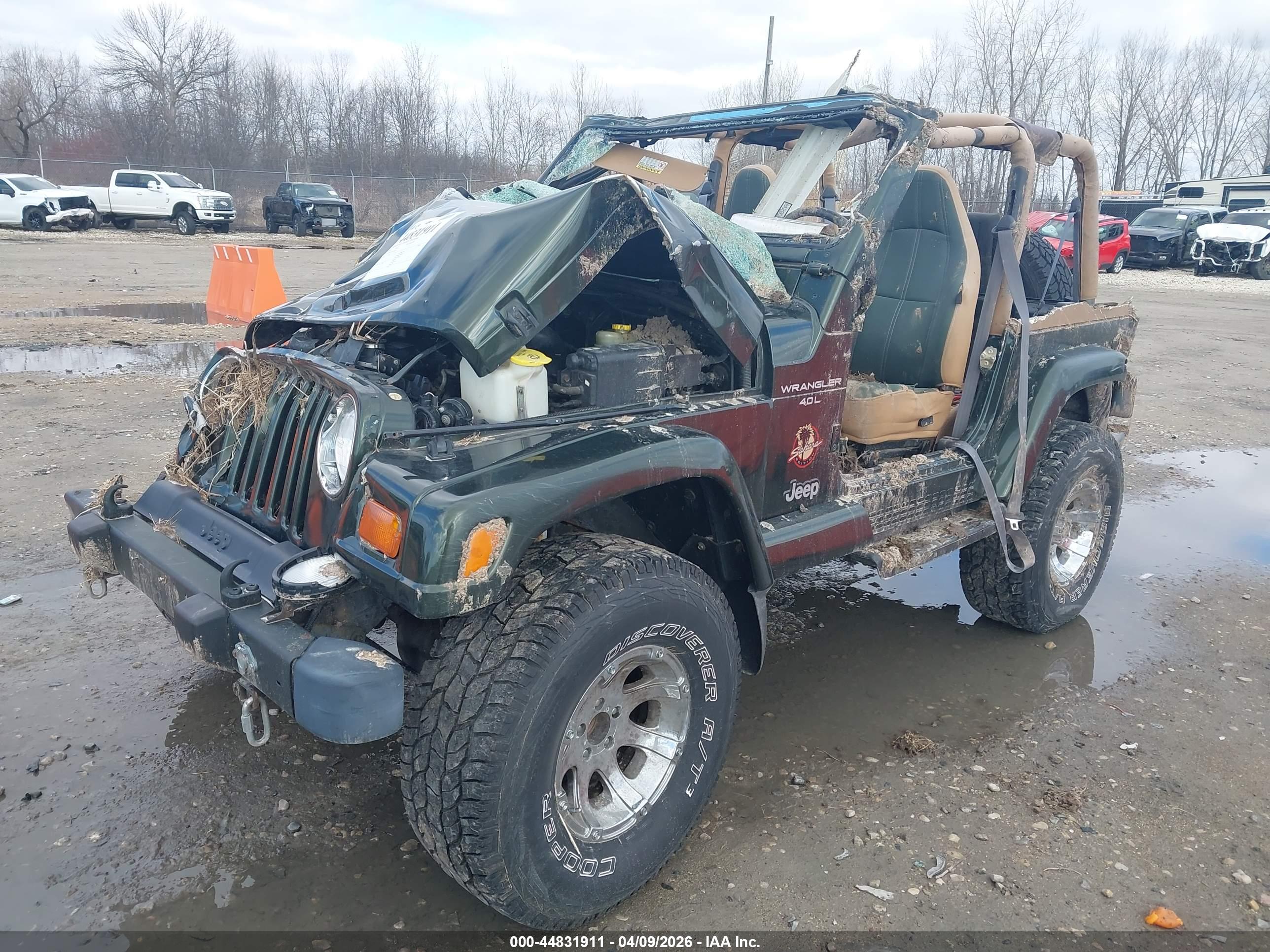 JEEP WRANGLER image 2