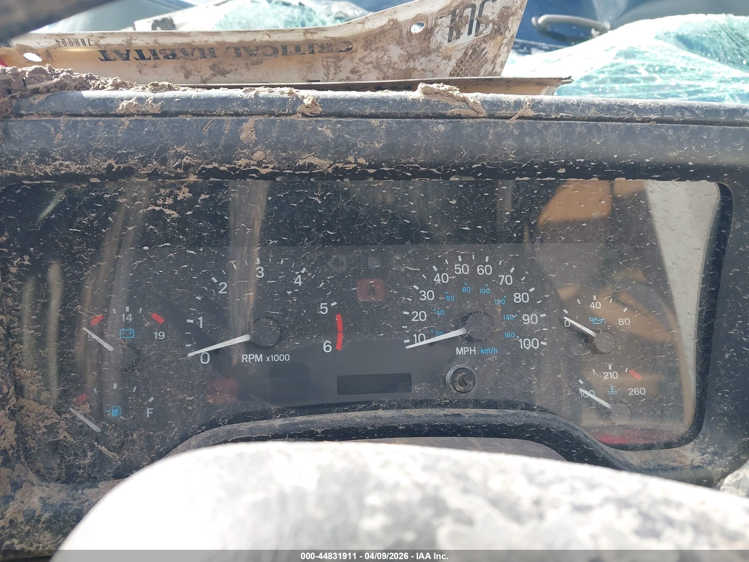 JEEP WRANGLER image 7
