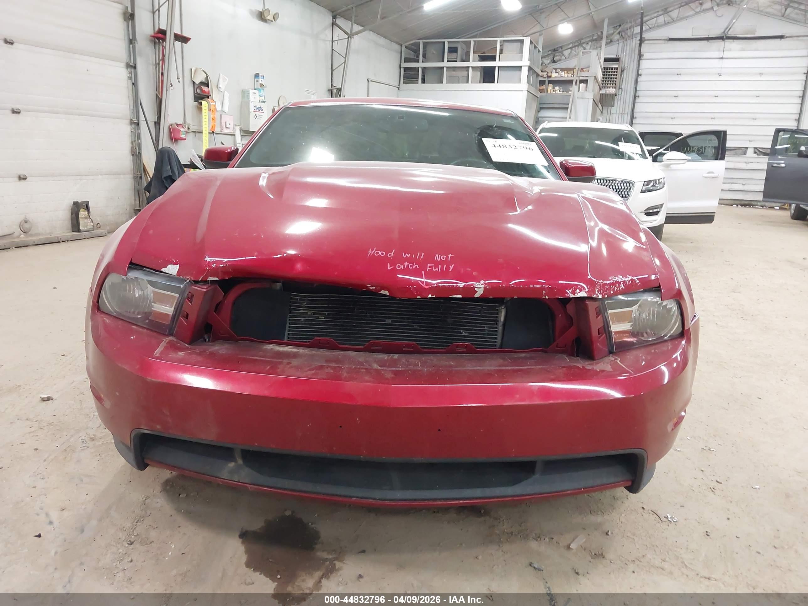 FORD MUSTANG image 6