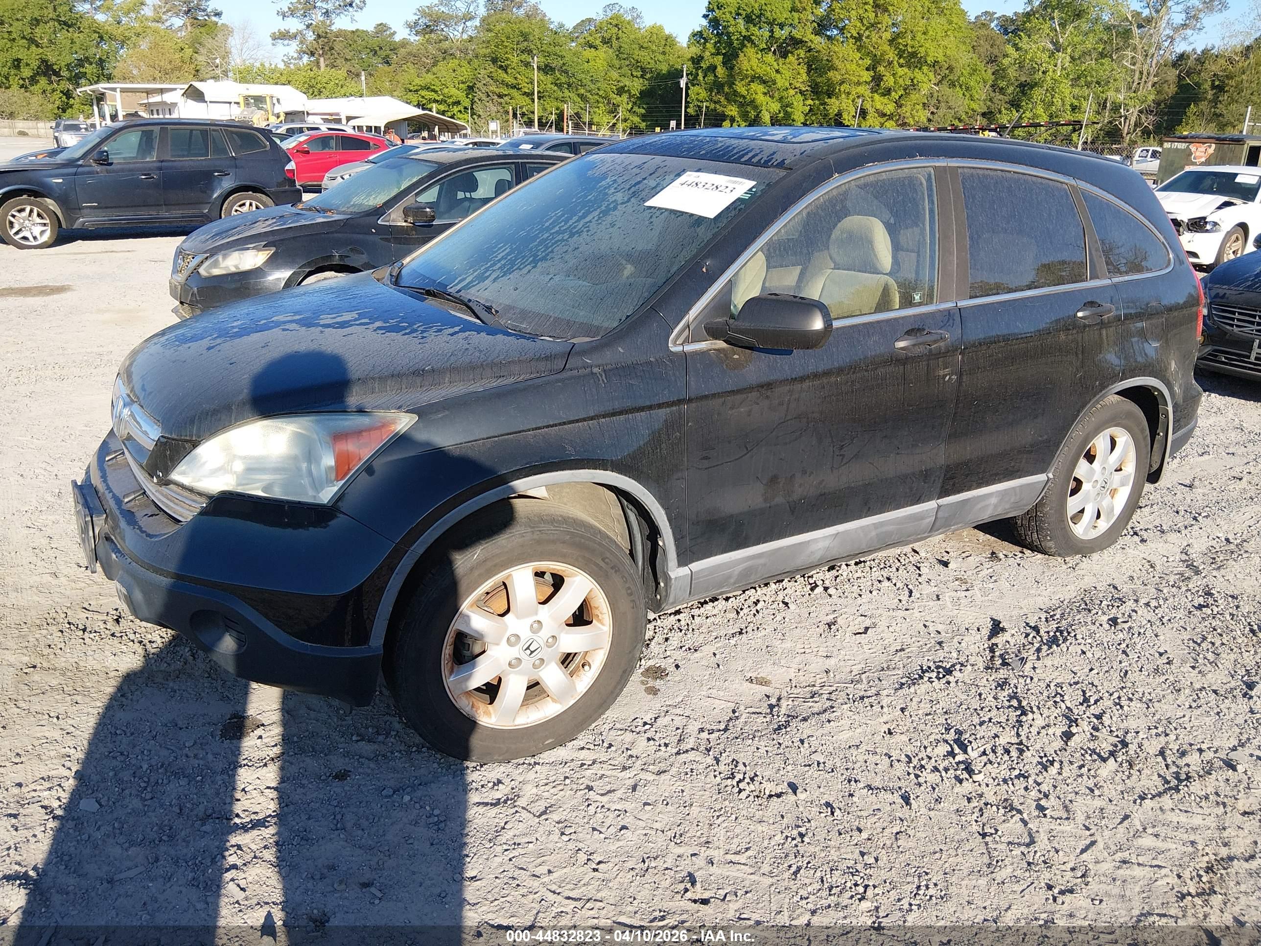 HONDA CR-V image 6