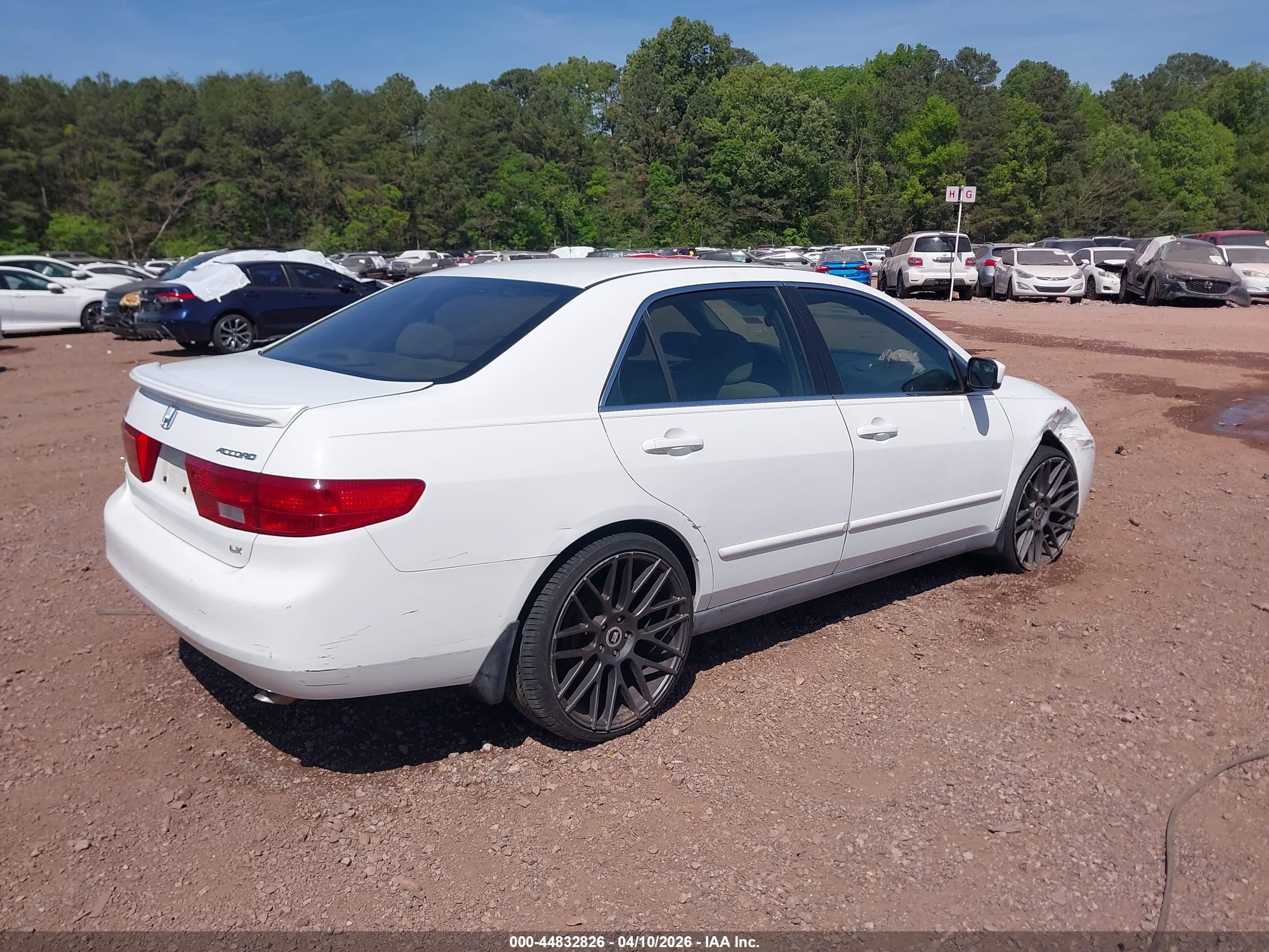 HONDA ACCORD image 4