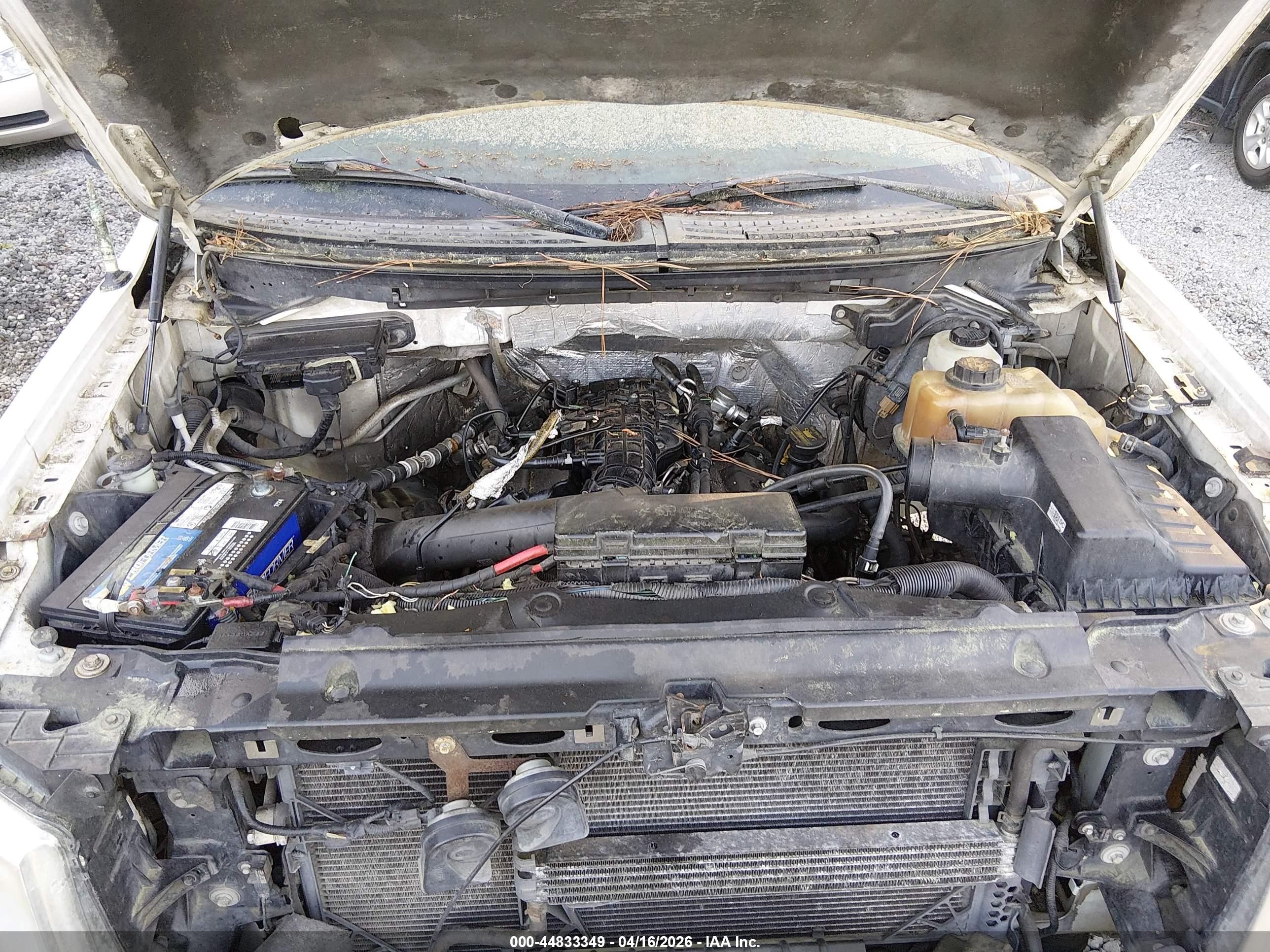 FORD F-150 image 10