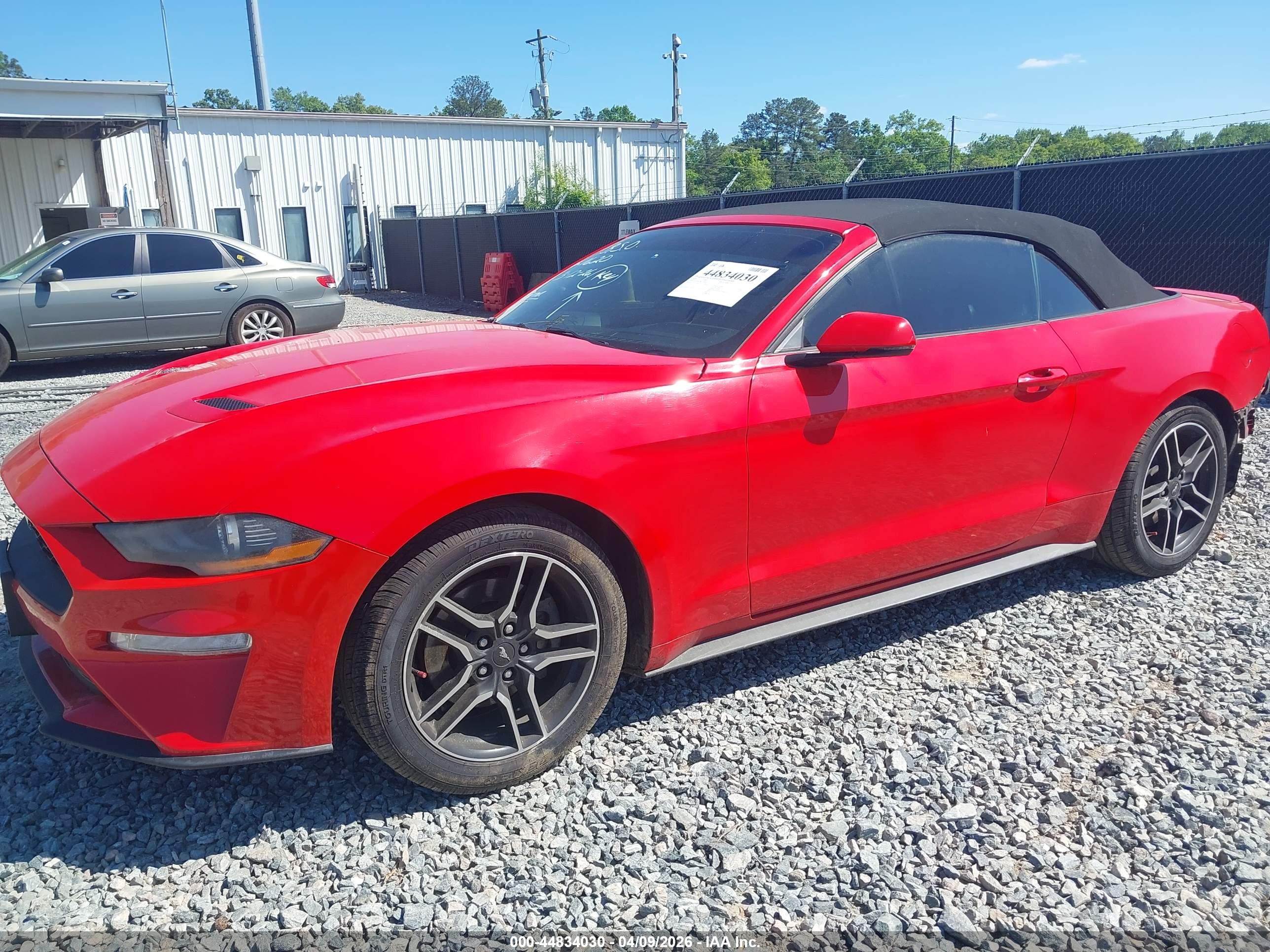 FORD MUSTANG image 2
