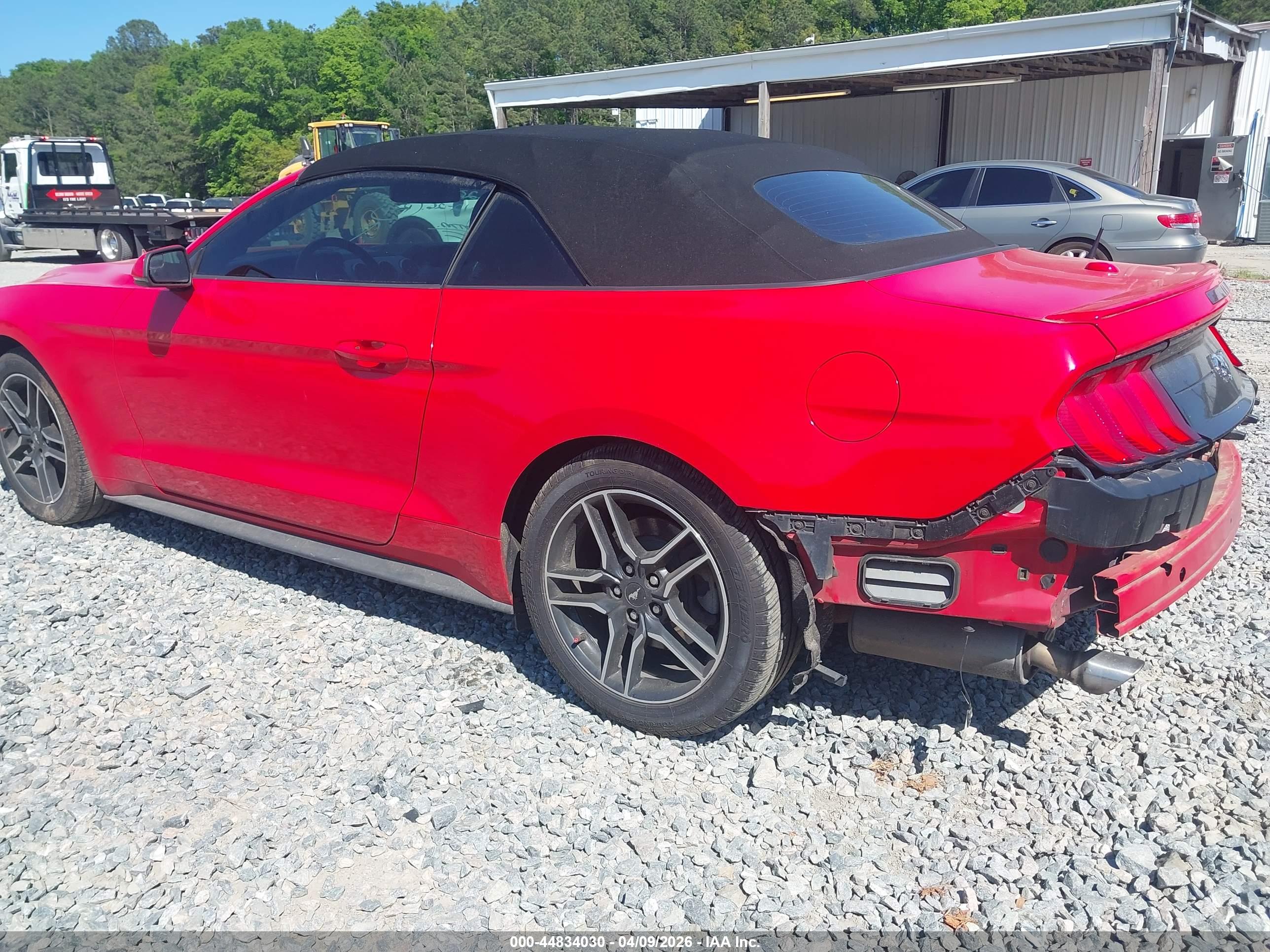 FORD MUSTANG image 3