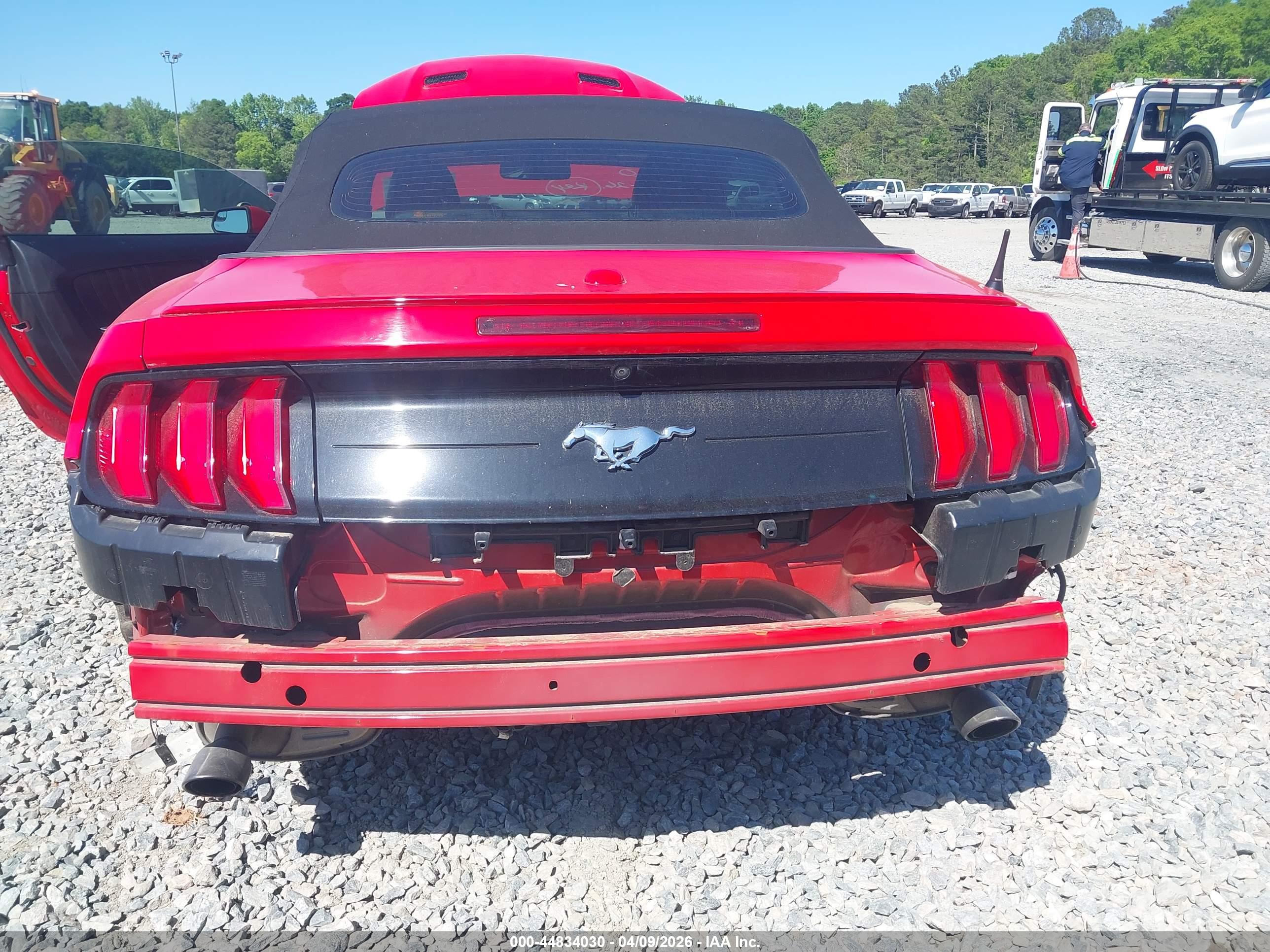 FORD MUSTANG image 6