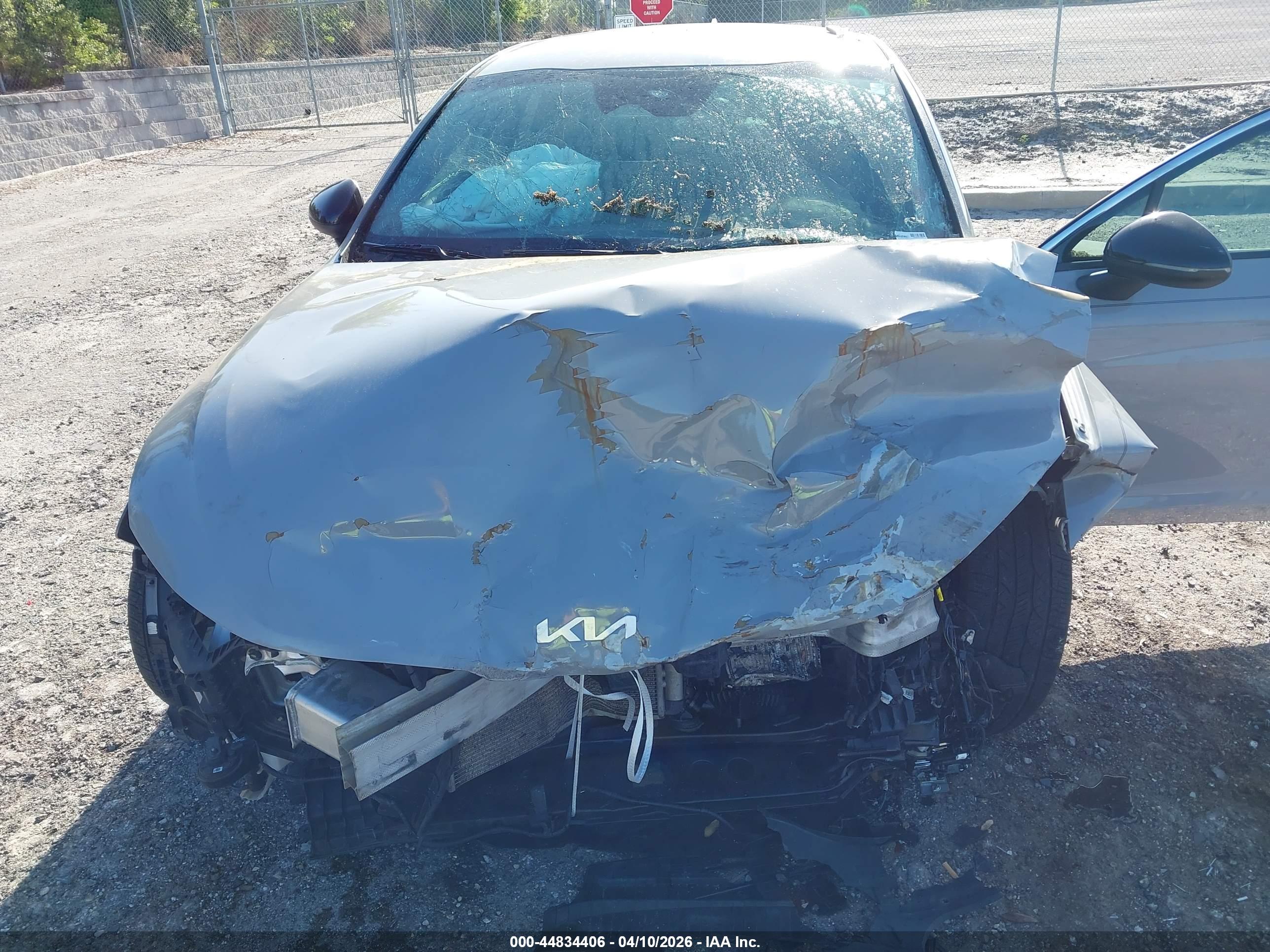 KIA K5 image 6