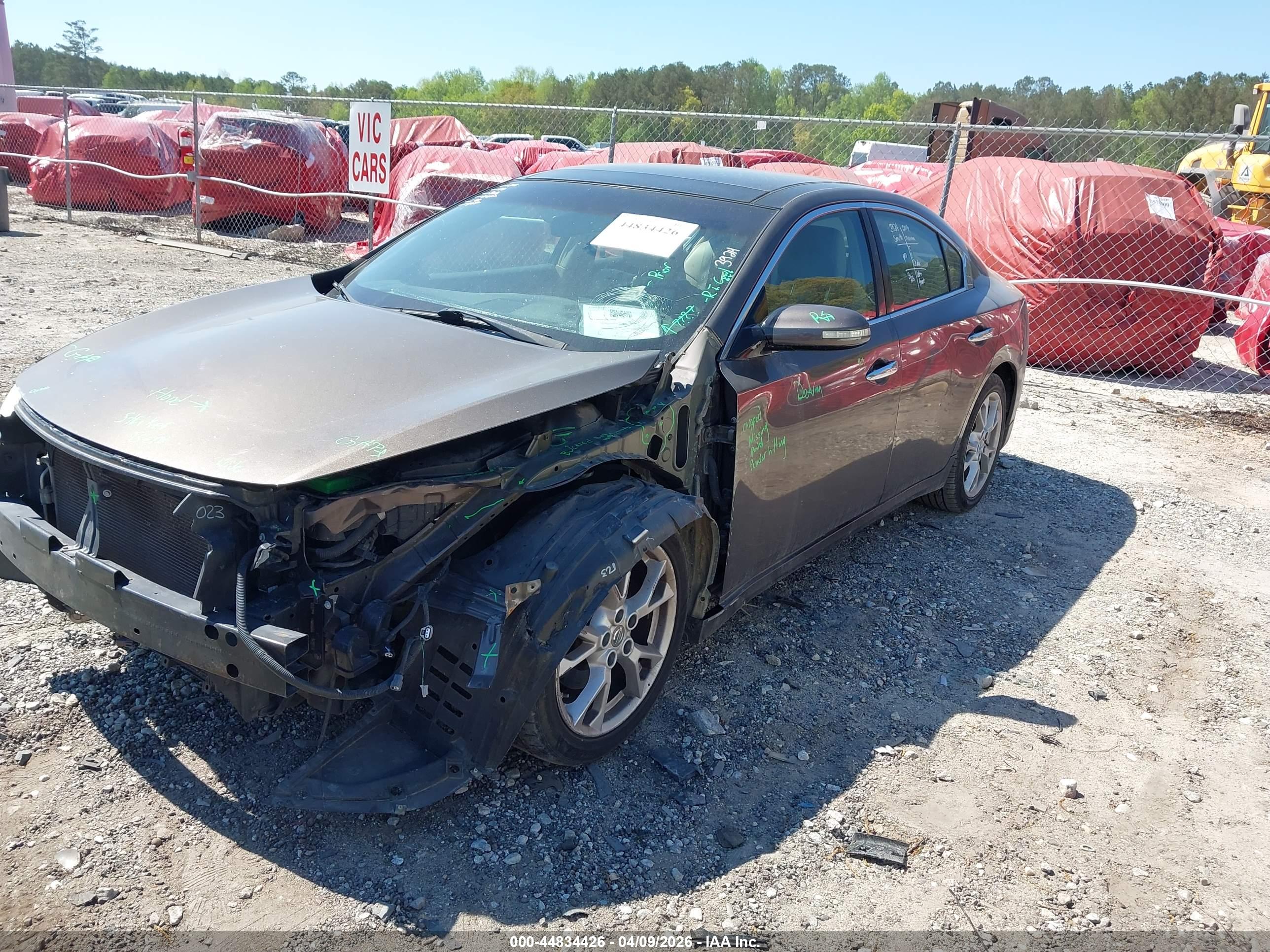 NISSAN MAXIMA image 2