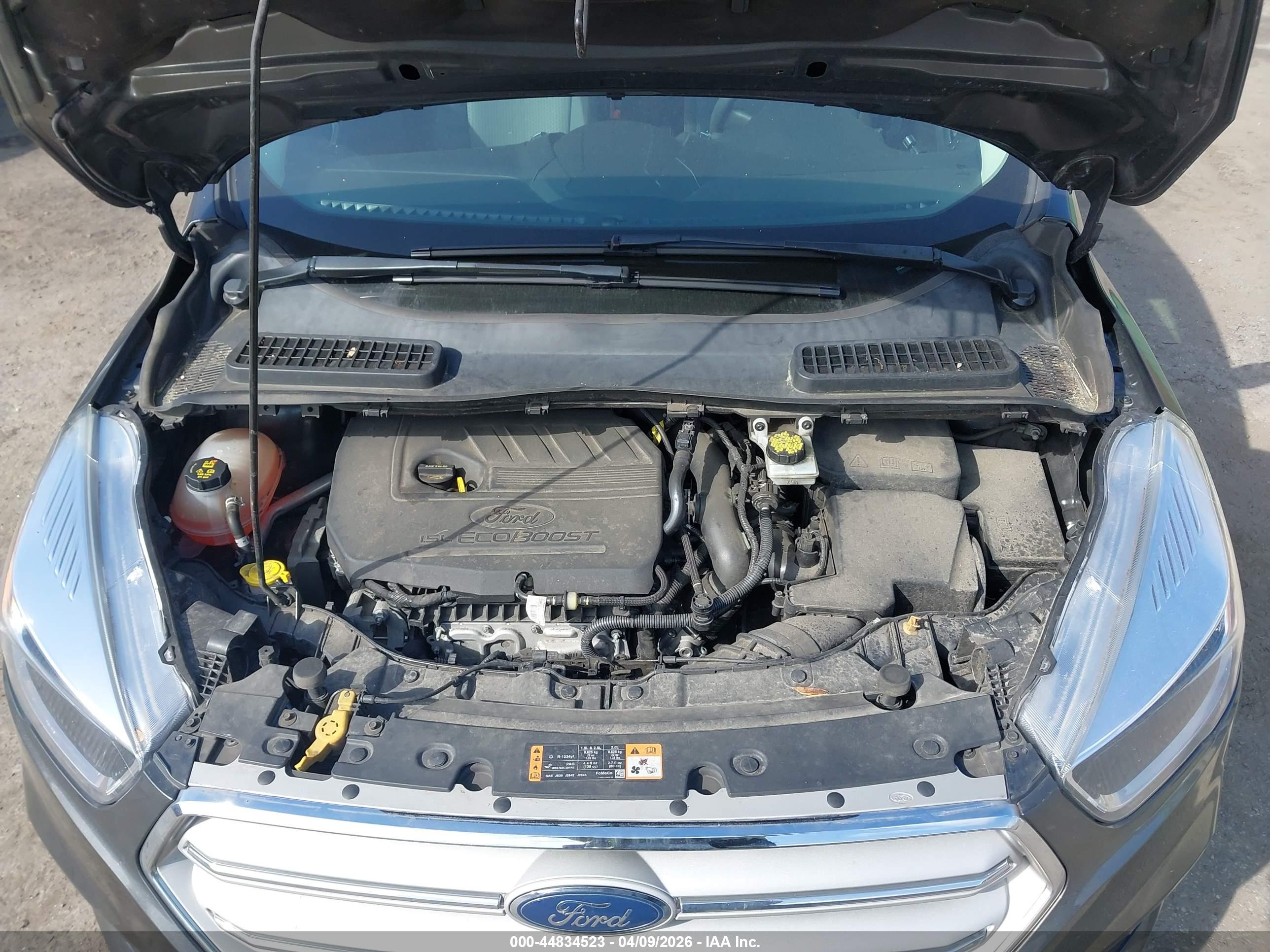 FORD ESCAPE image 10