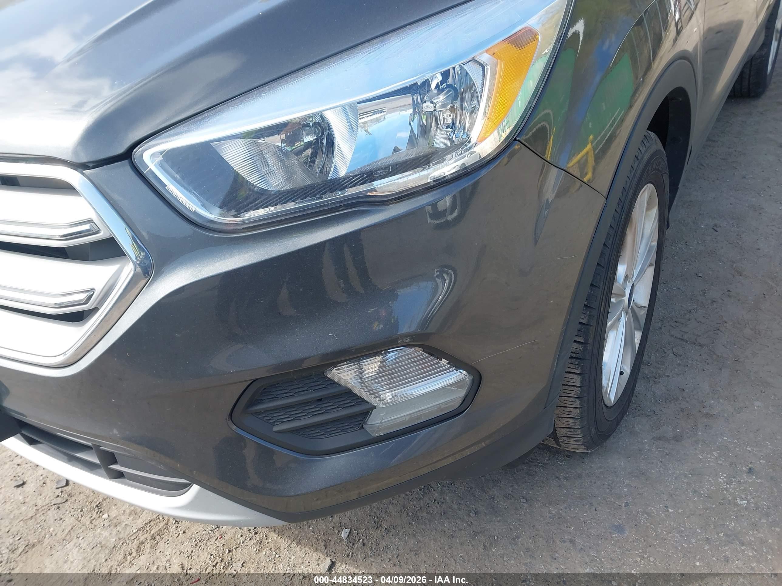 FORD ESCAPE image 6