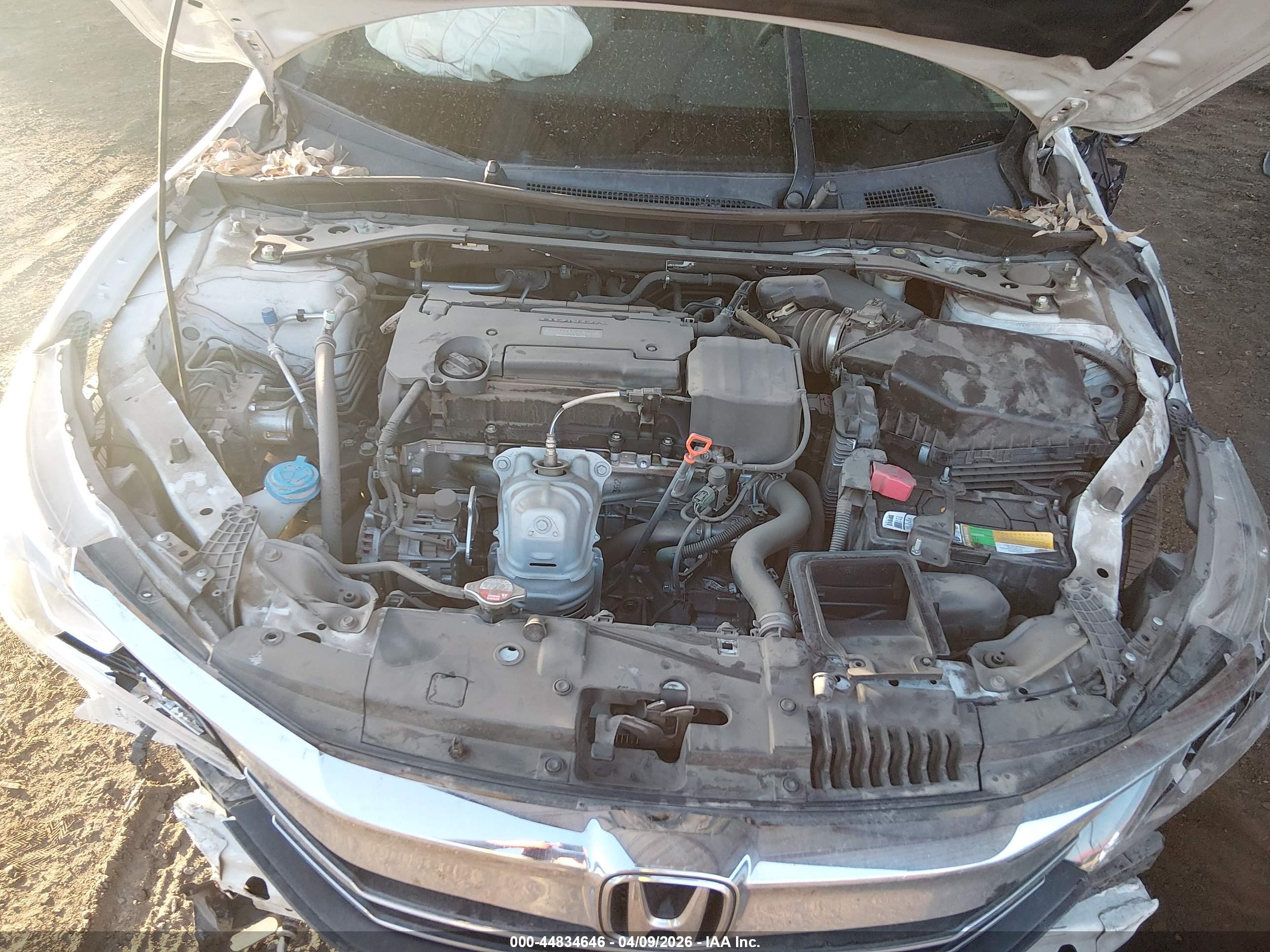 HONDA ACCORD image 10