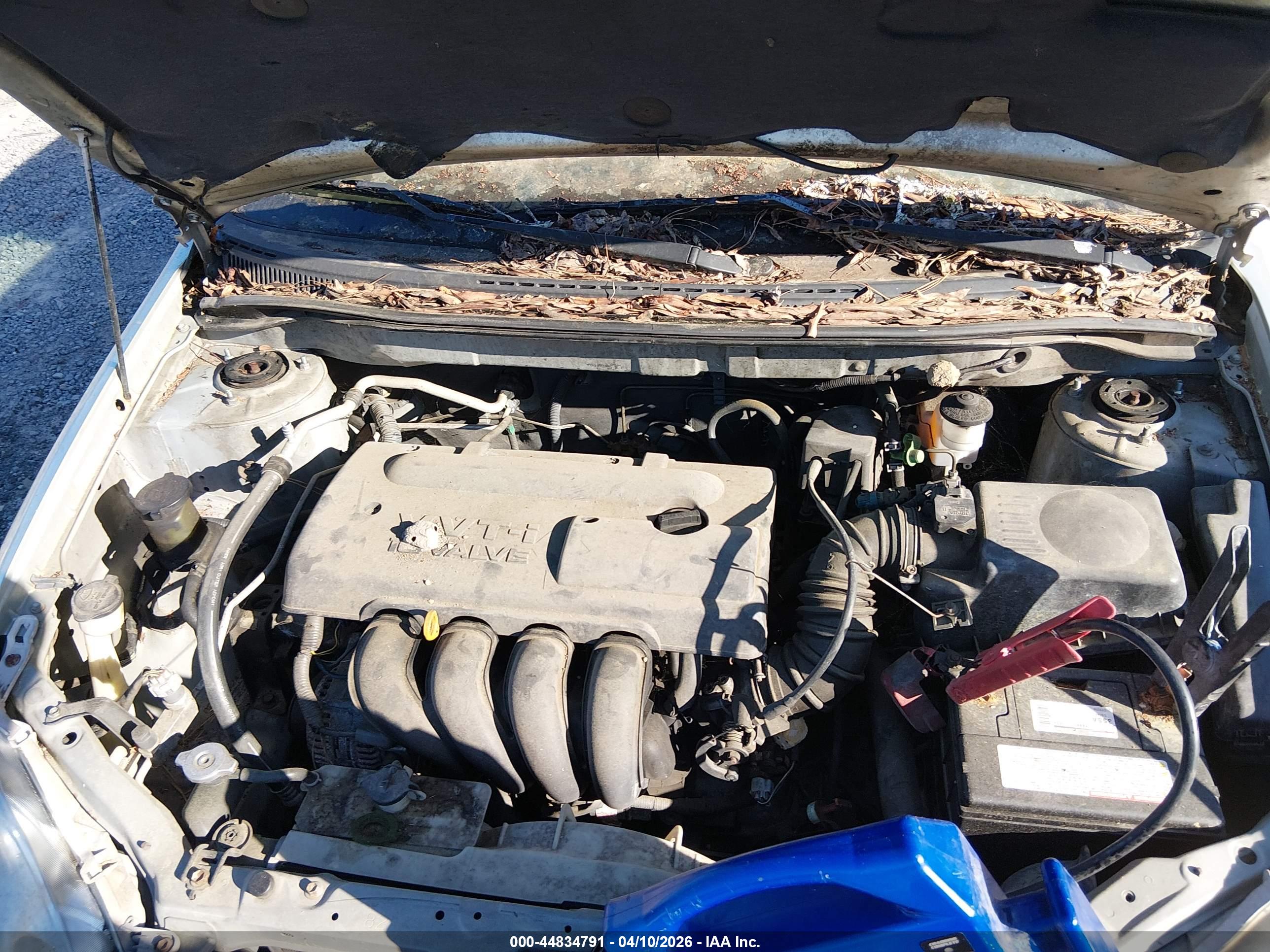 TOYOTA COROLLA image 10