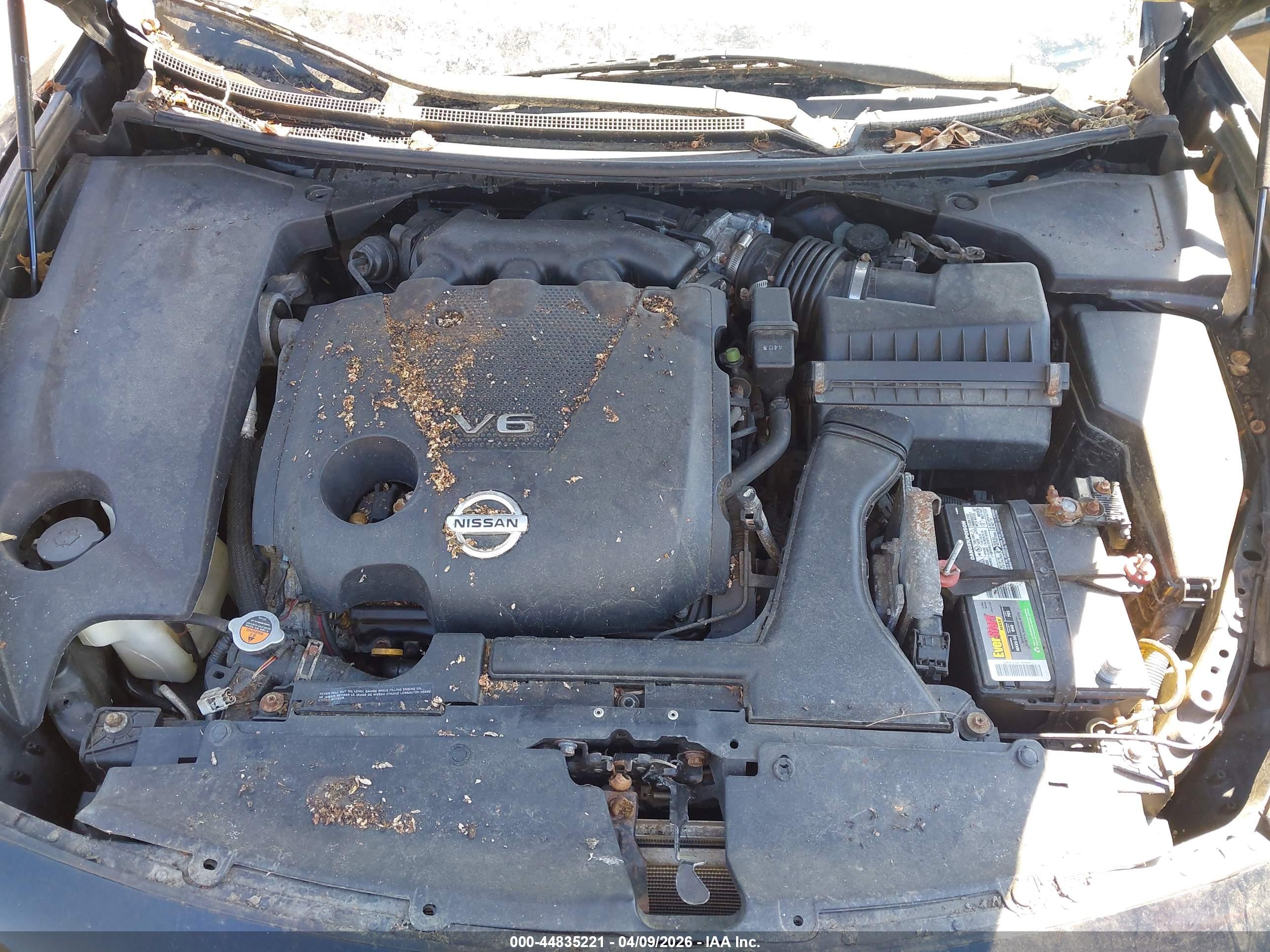 NISSAN MAXIMA image 10