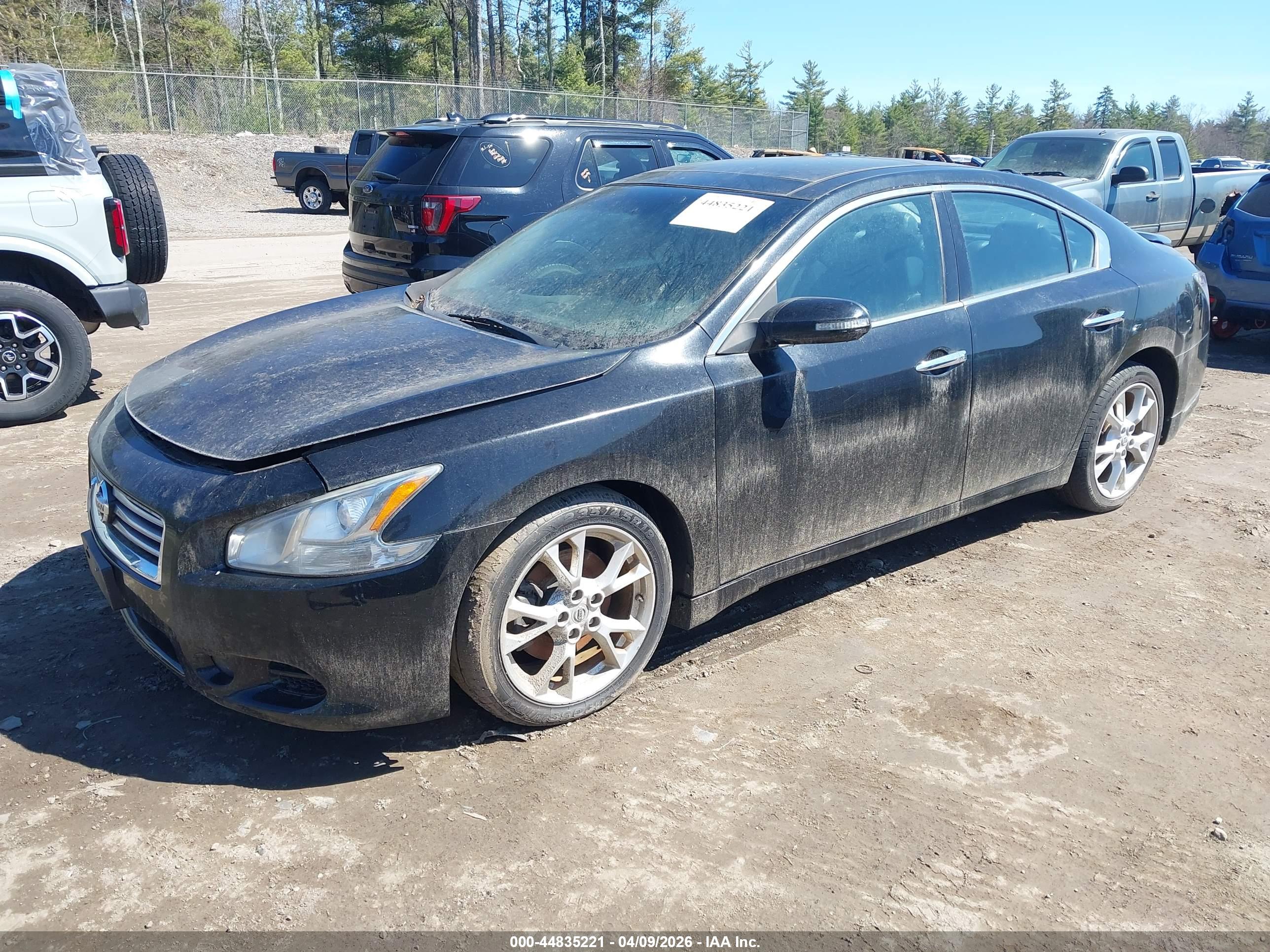 NISSAN MAXIMA image 2