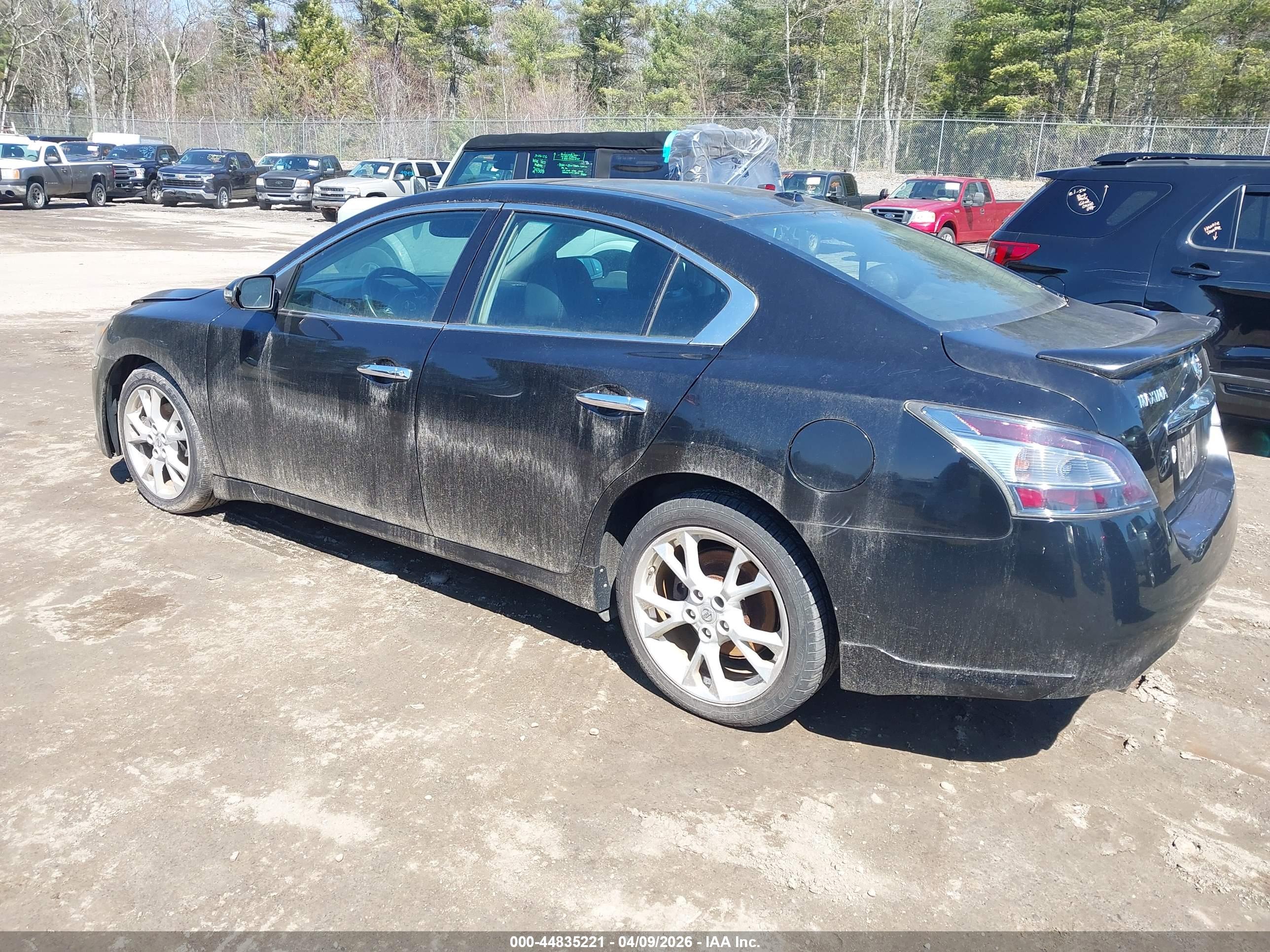 NISSAN MAXIMA image 3