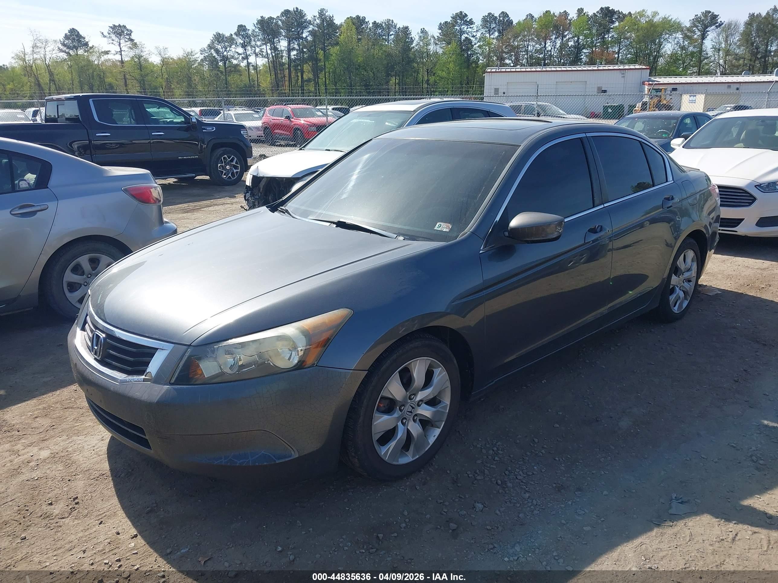 HONDA ACCORD image 2