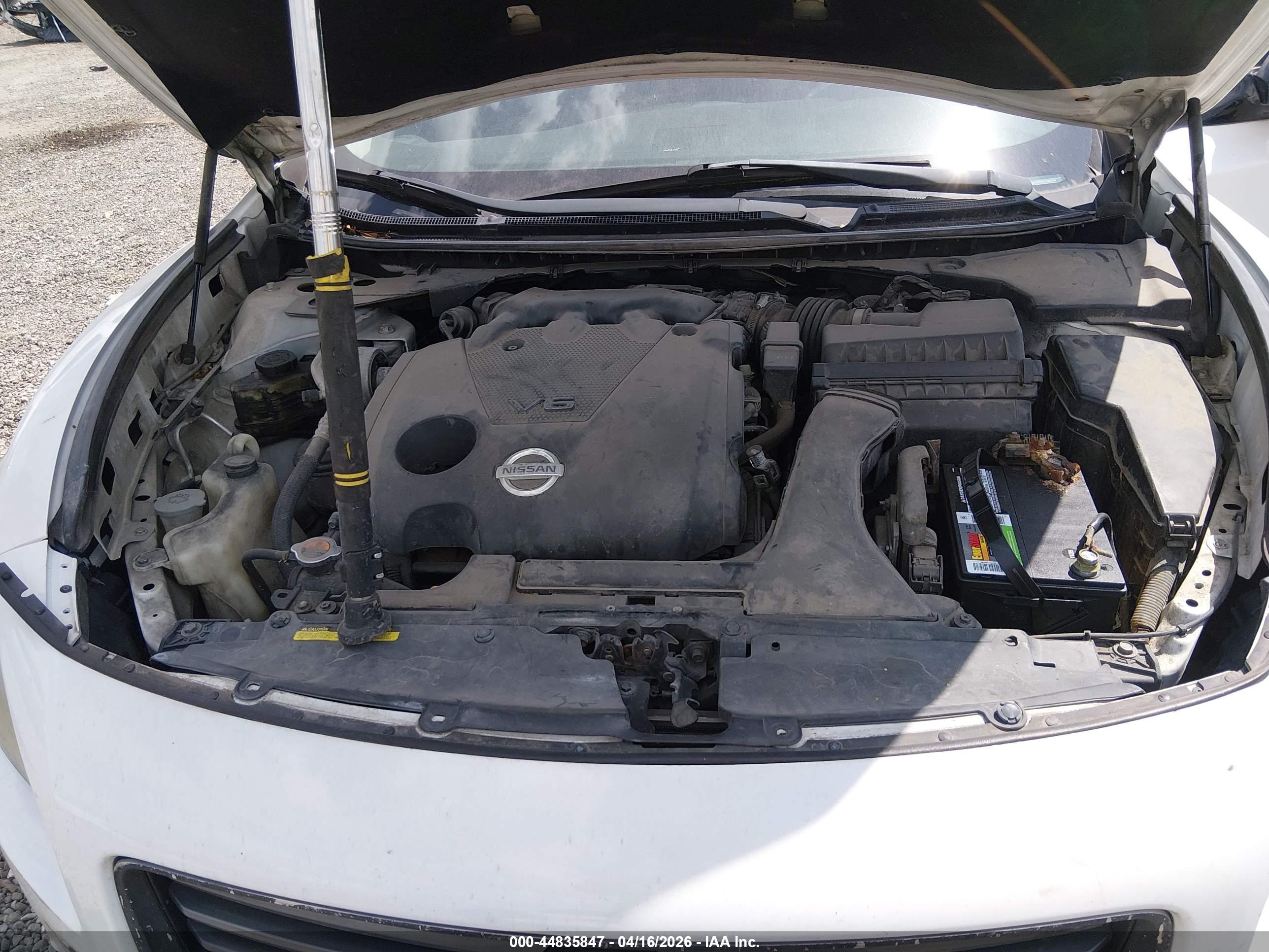 NISSAN MAXIMA image 10