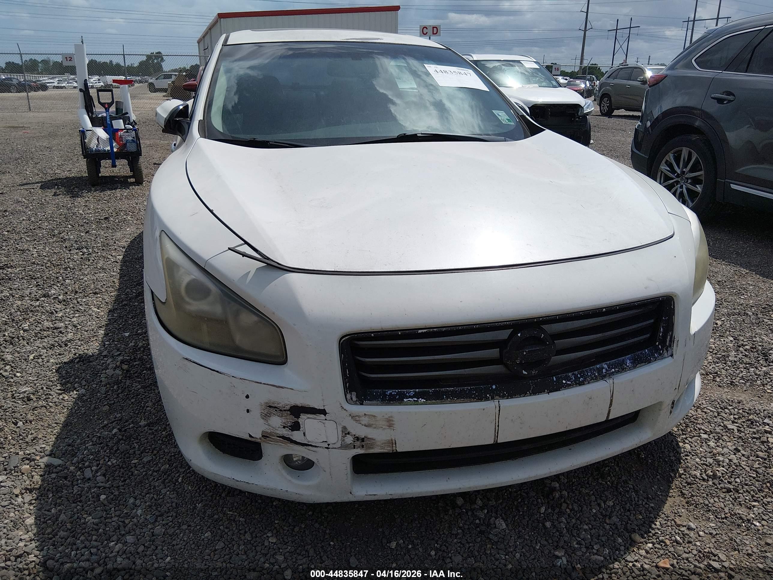 NISSAN MAXIMA image 6