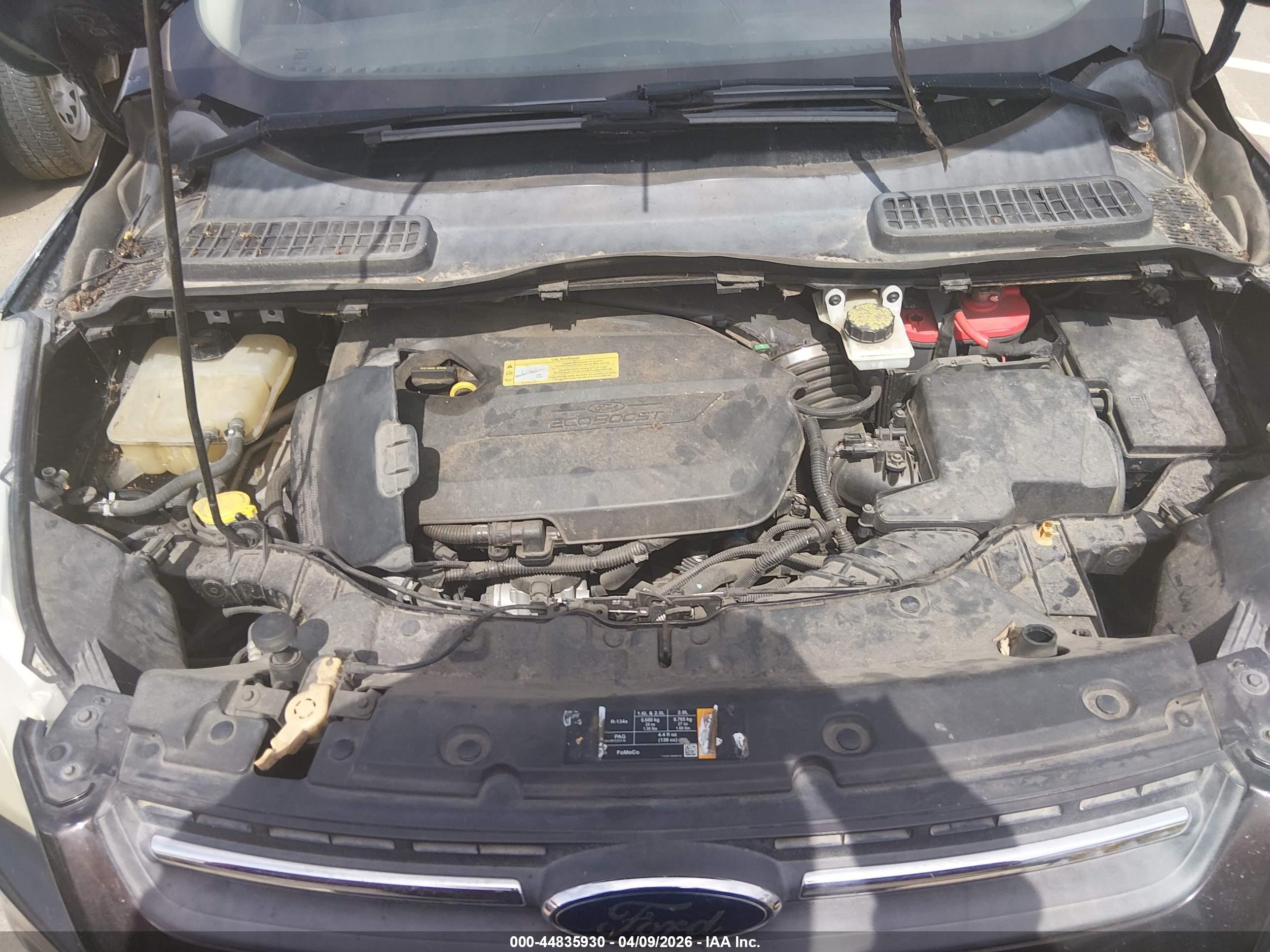 FORD ESCAPE image 10