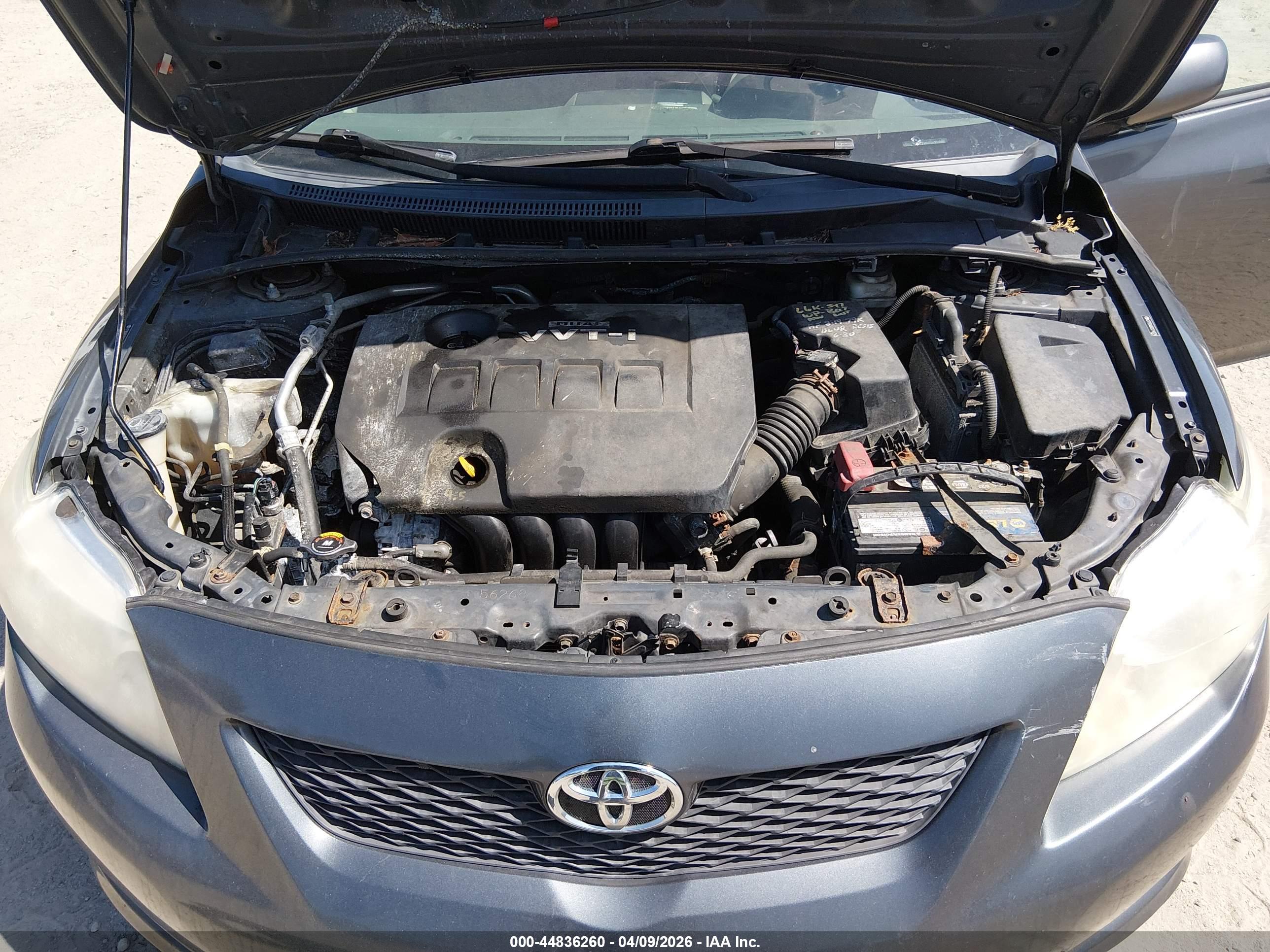 TOYOTA COROLLA image 10