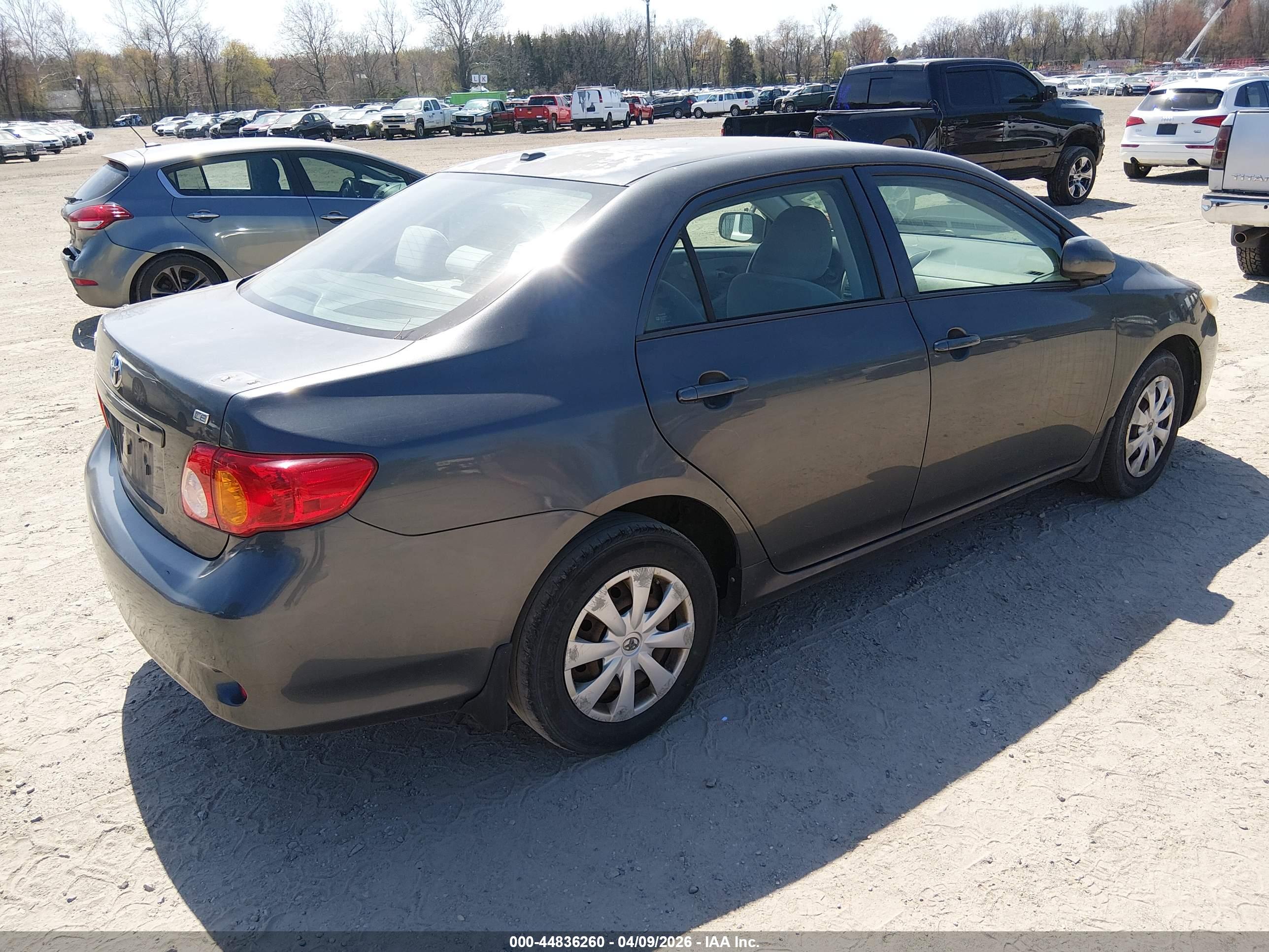 TOYOTA COROLLA image 4